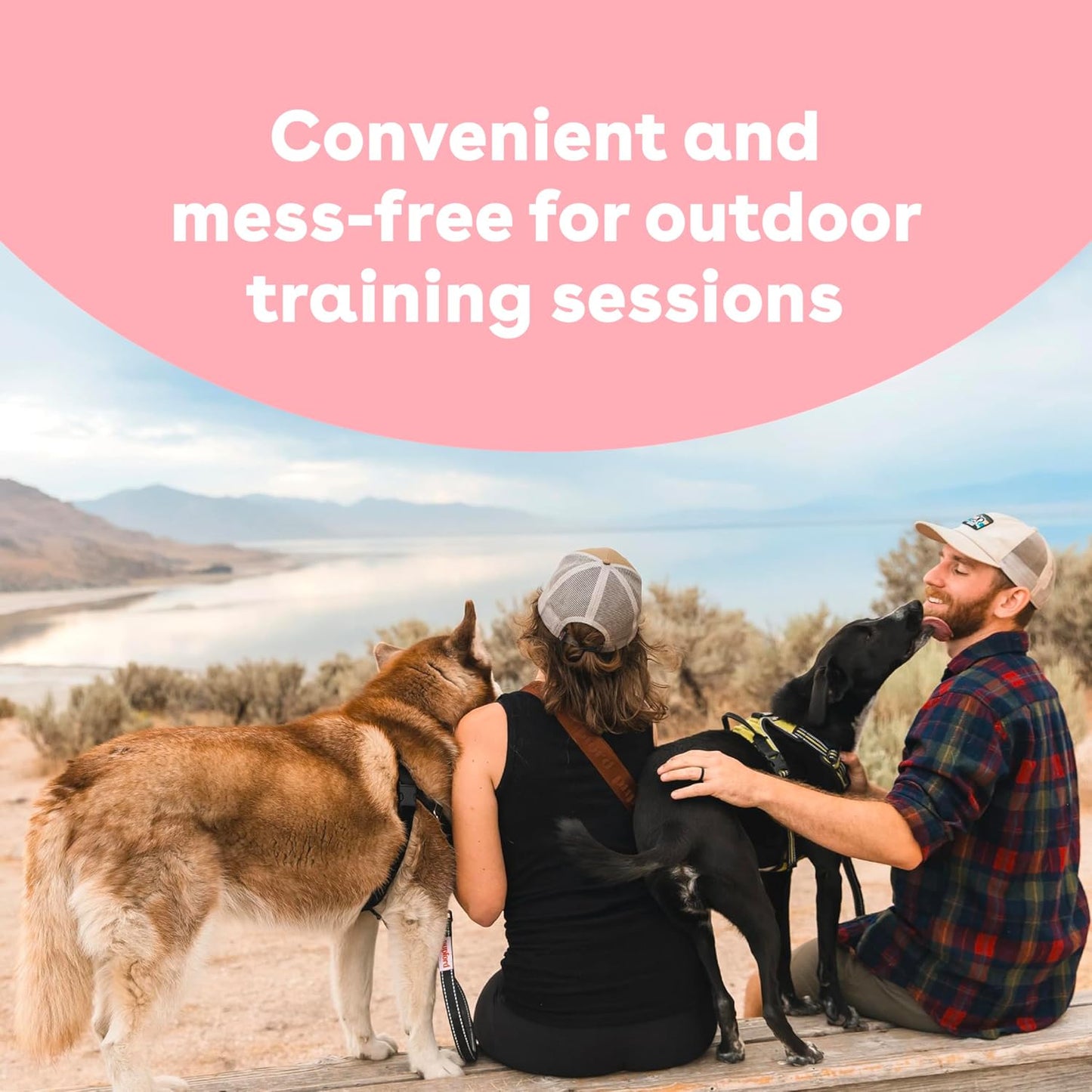 Freeze Dried Training Treats for Dogs & Puppies, 450+ One Ingredient Bites (Sweet Potato, 4 Oz)