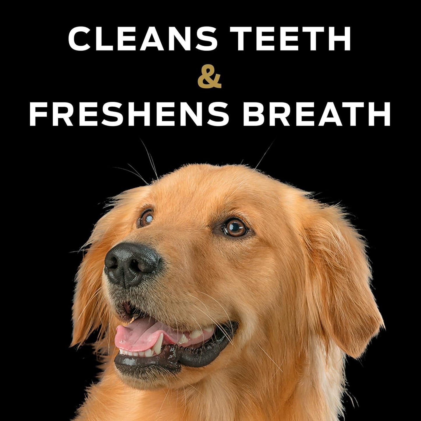 Purina Dental Chewz Dog Treats - 5 Oz. Box