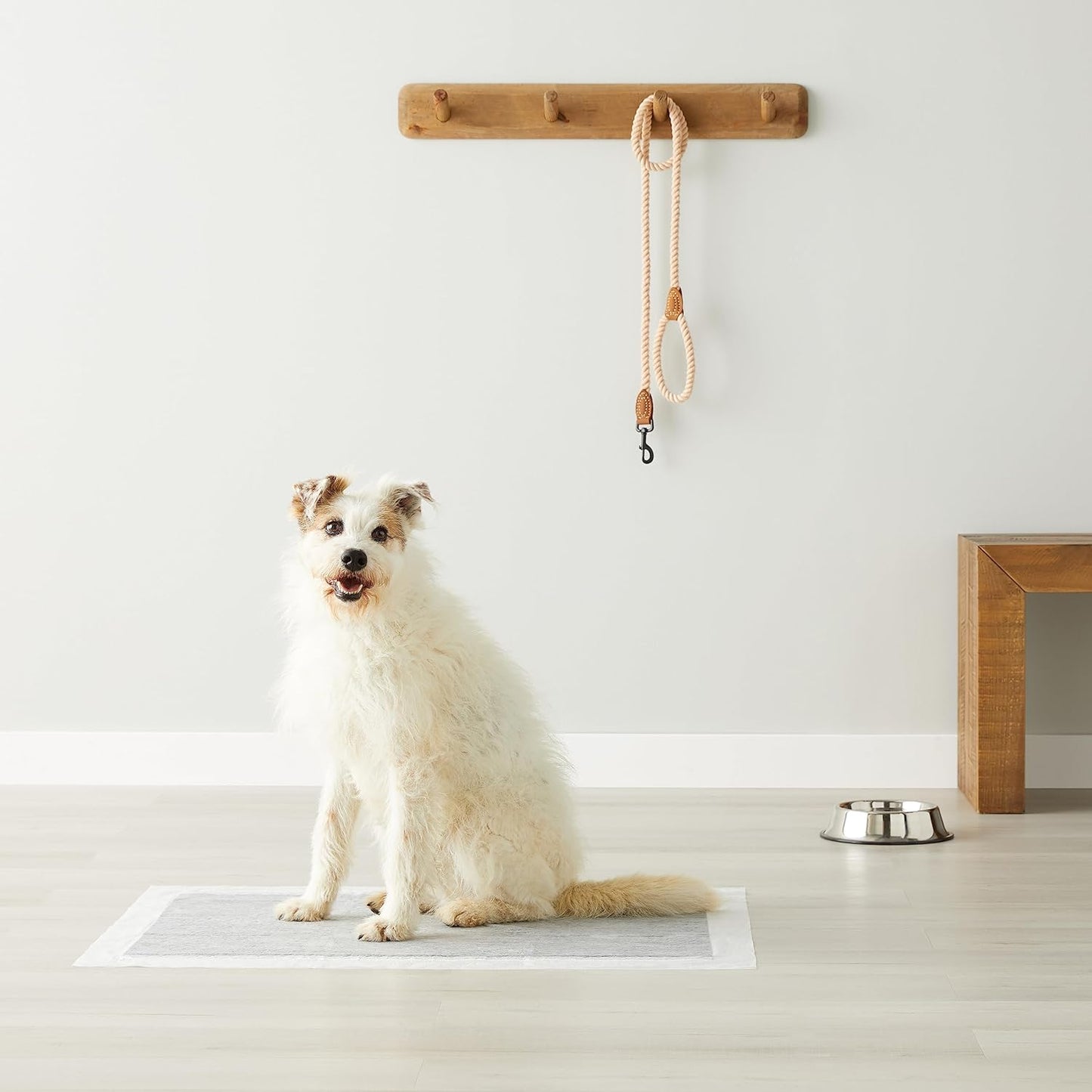 Carbon Odor-Control Dog and Puppy Pee Pads, 5-Layer Leak-Proof Super Absorbent, Quick-Dry Surface, Potty Training, X-Large (28X34"), 50 Count, Gray