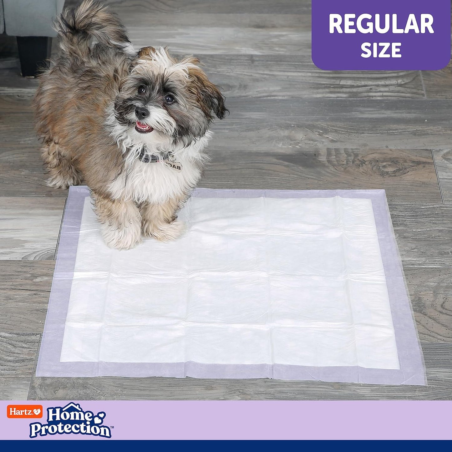 Home Protection Lavender Scented Dog Pads, 100 Count, Super Absorbent & Won'T Leak, Odor Eliminating