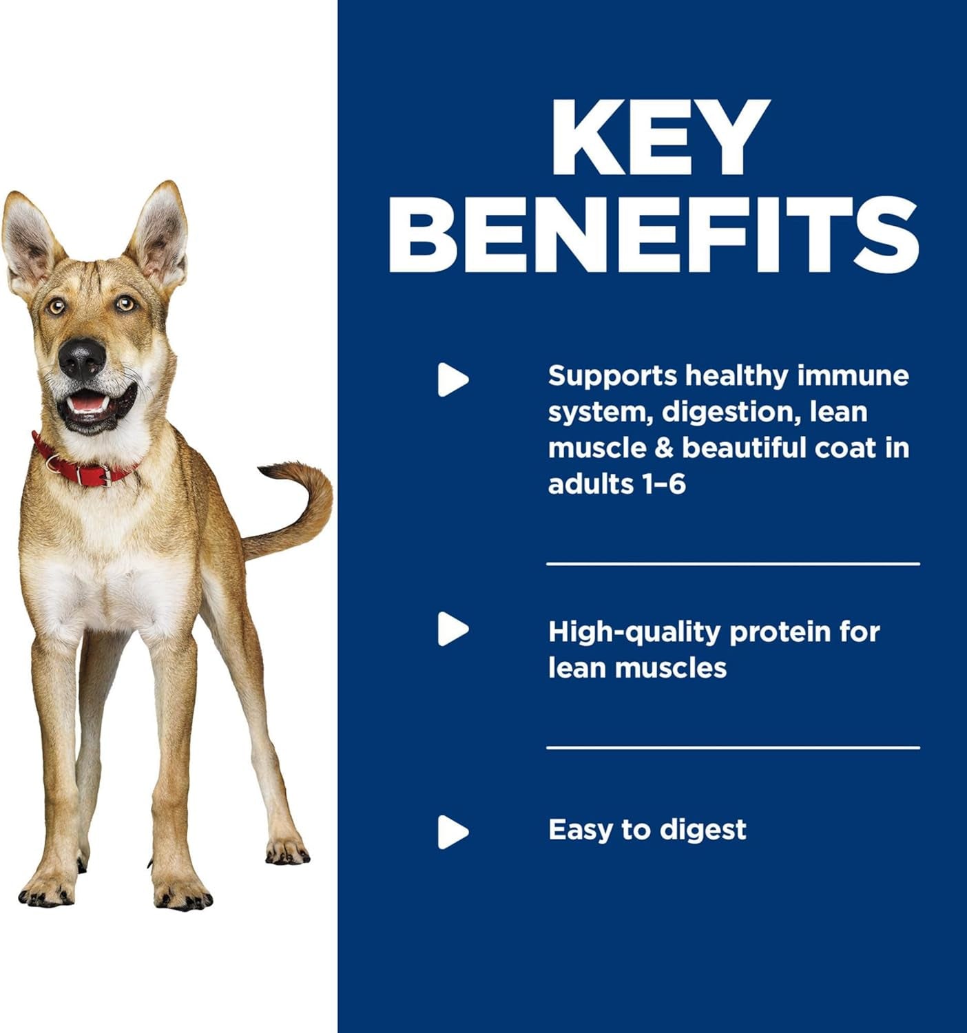 Adult 1-6, Adult 1-6 Premium Nutrition, Wet Dog Food, Variety Pack: Chicken & Barley; Beef & Barley Loaf, 13 Oz Can Variety Pack, Case of 12