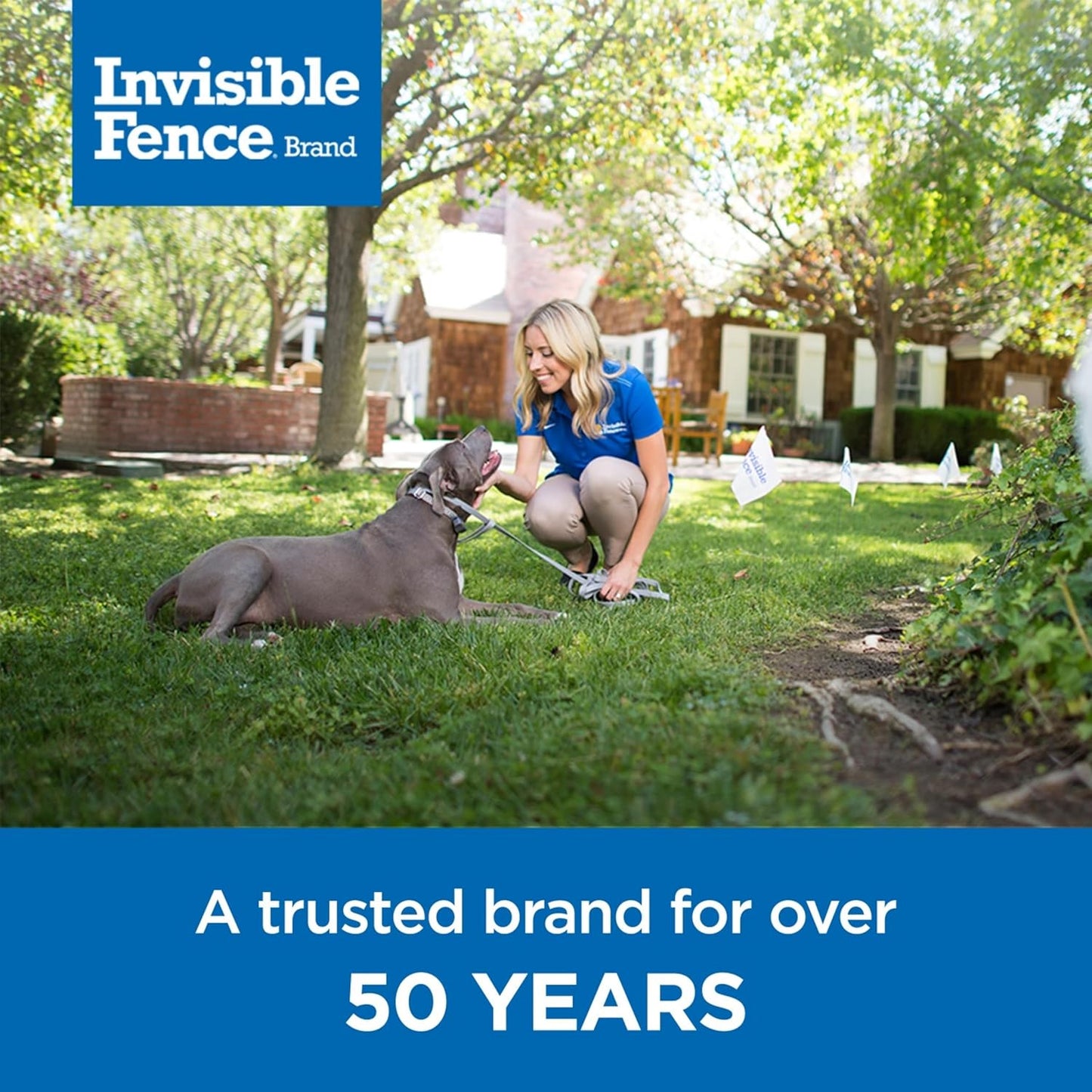 Power Cap Battery - Original IFB Electric Fence Battery Replacement for Dog Collars - Long-Lasting - 1 Pack