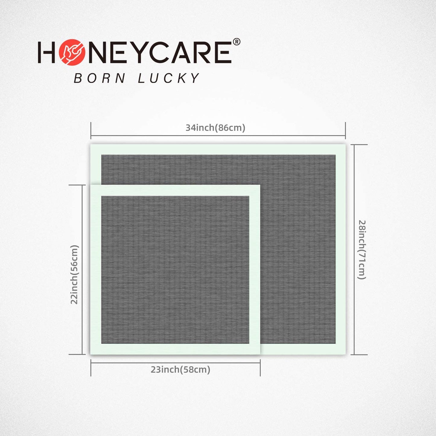 All-Absorb Puppy Training Pads | Doggie Potty Pads Absorb Eliminating Urine Odor, Ultra Charcoal Dog Pee Pad (Carbon, L 22X23 Inch, 100Ct)