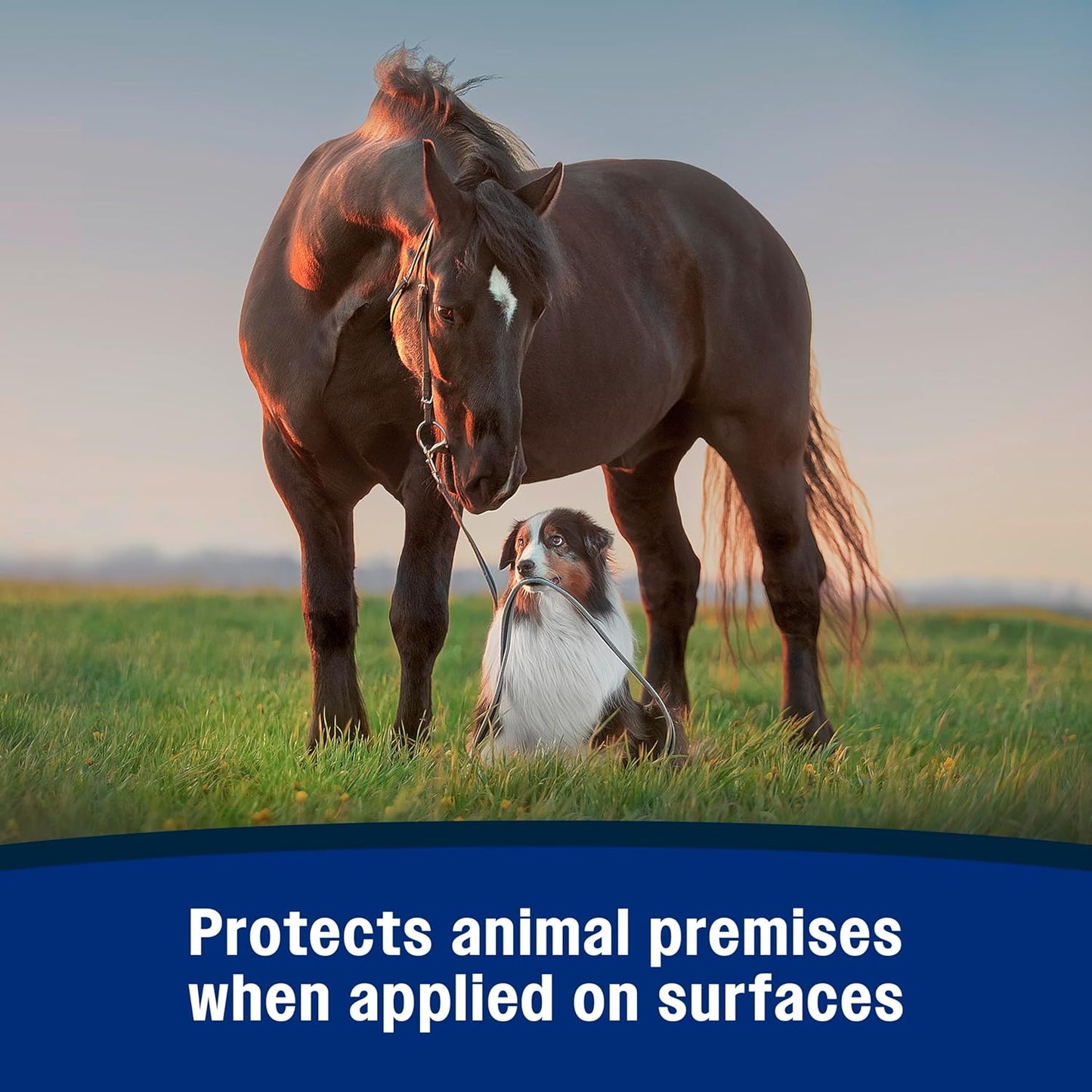 Repel-X Ready-To-Use Fly Spray, Insecticide and Repellent for Horses and Dogs, 32 Fluid Ounces, 1 Quart Bottle with Trigger Sprayer