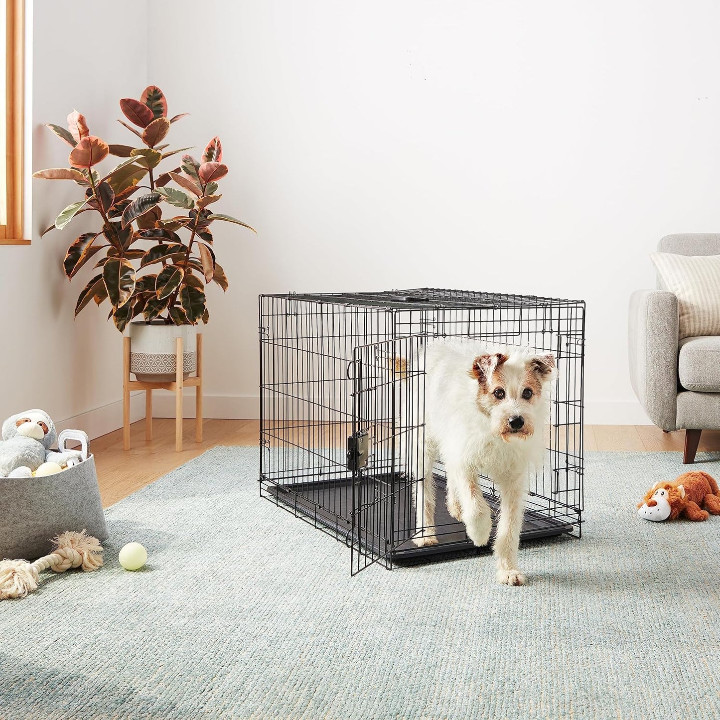 Durable, Foldable, Collapsible, Portable Metal Wire Dog Crate with Tray, Single Door with Divider Panel, Easy to Assemble & Clean, 36 X 23 X 25 In, Black