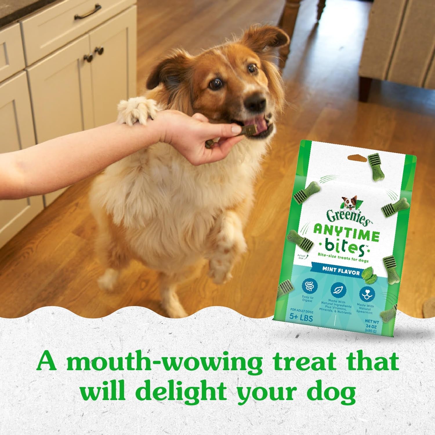 Anytime Bites Dog Treats, Mint Flavor, 24 Oz. Bag
