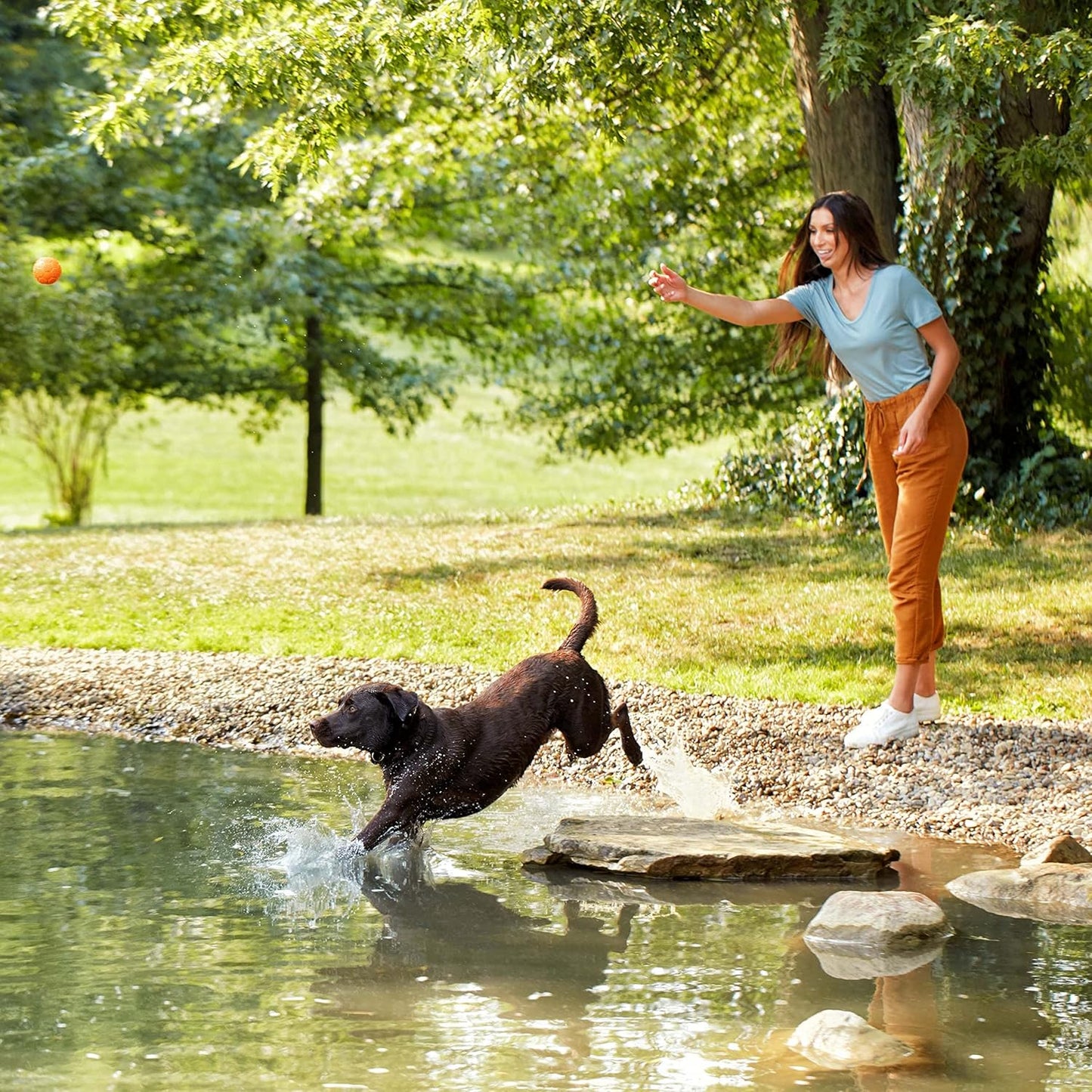 Grain Free Dry Dog Food, Salmon, Sweet Potato & Pumpkin Recipe, 12 Lb. Bag