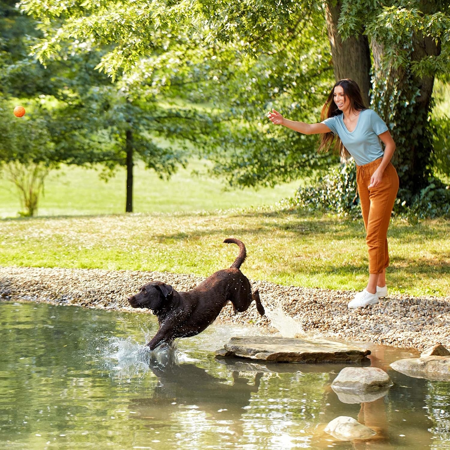 Grain Free Dry Dog Food, Salmon, Sweet Potato & Pumpkin Recipe, 12 Lb. Bag