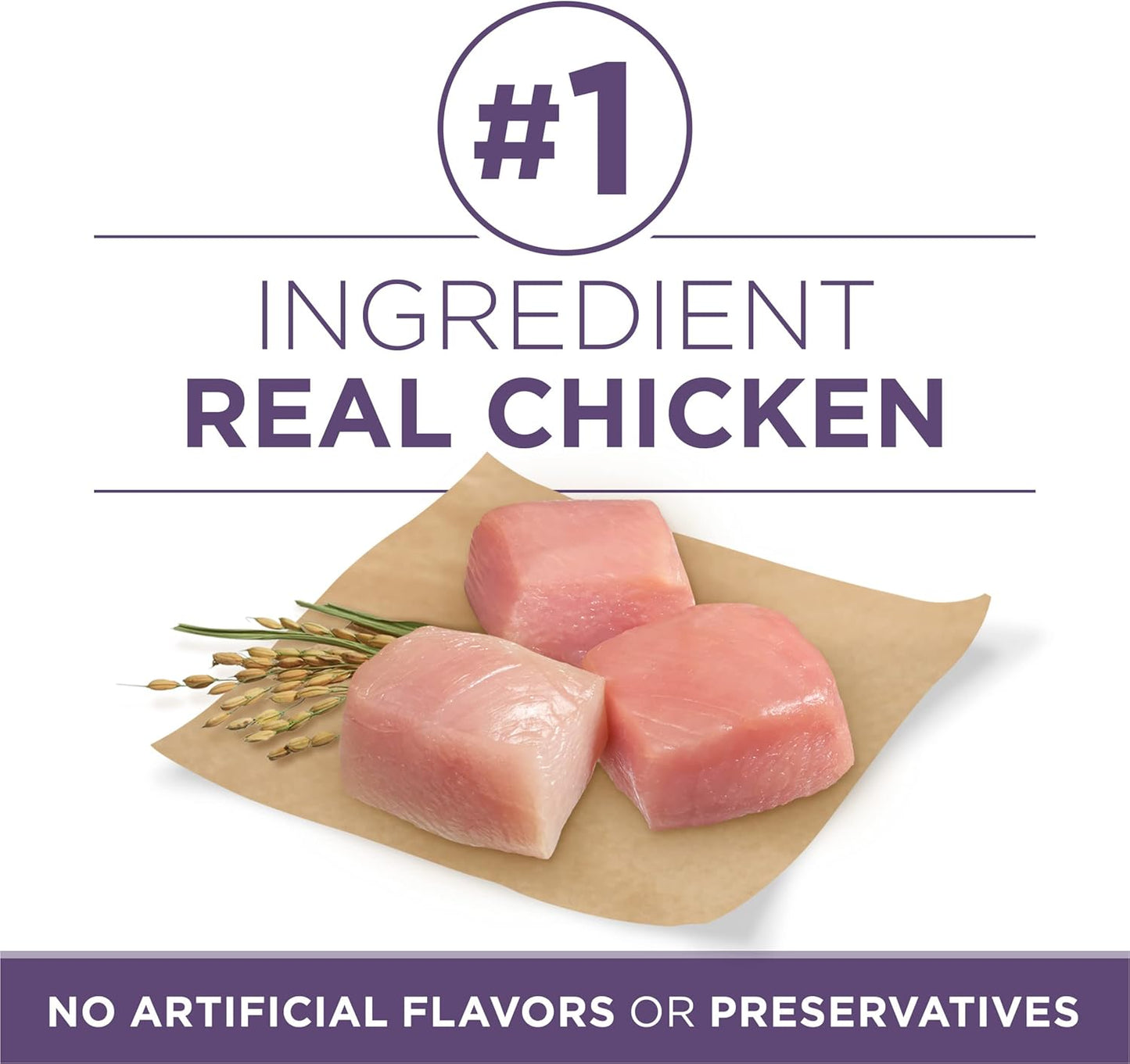 High Protein Dry Senior Dog Food plus Vibrant Maturity Adult 7 plus Formula - 16.5 Lb. Bag