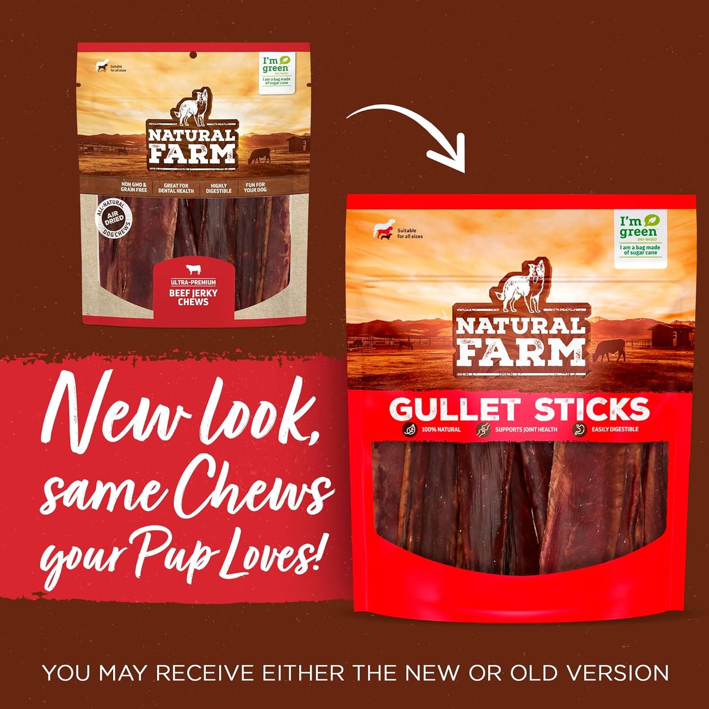 Gullet Sticks (6 Inch, 25 Pack), Grain-Free, Preservative-Free & Fully Digestible Beef Esophagus – Gentle yet Effective Fun - Best for Light, Pups & Senior Chewers