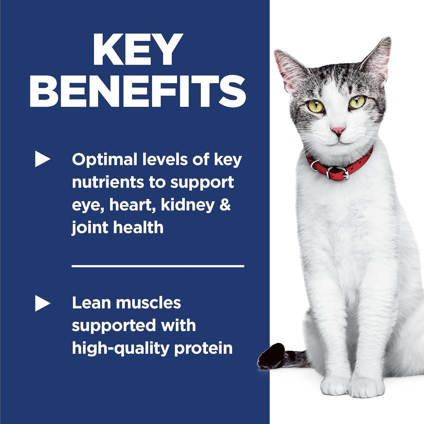 Adult 11+, Senior Adult 11+ Premium Nutrition, Dry Cat Food, Chicken Recipe, 7 Lb Bag