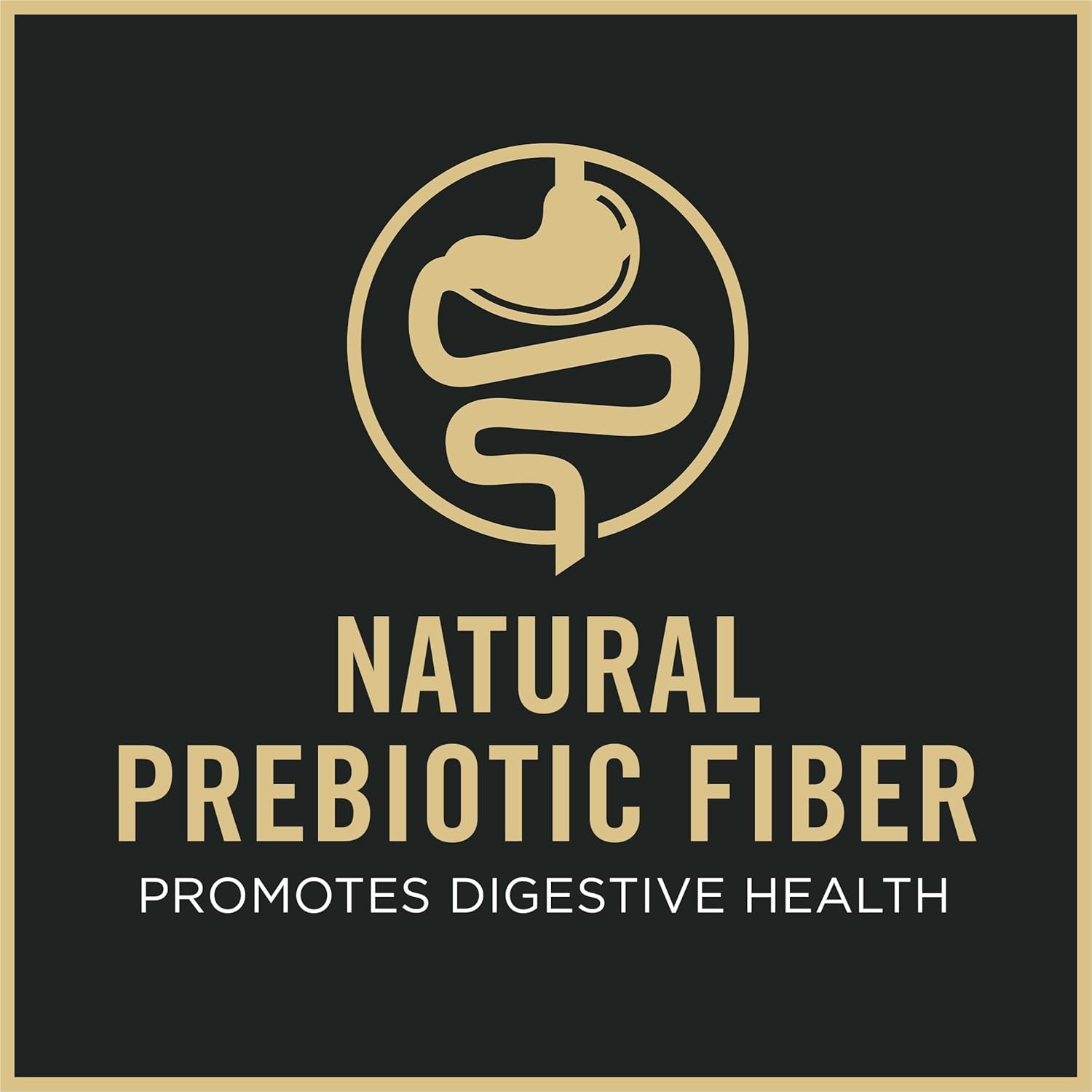 Hairball Management, Indoor Cat Food, Turkey and Rice Formula - 16 Lb. Bag