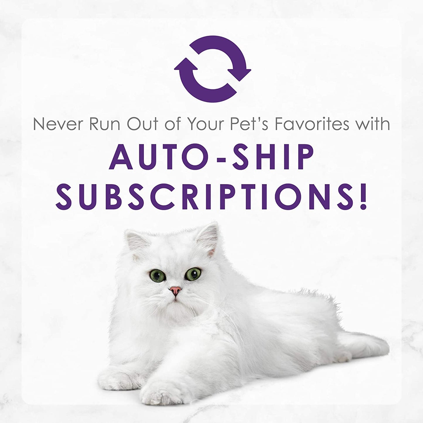 Purina Delights with Cheddar Grilled Chicken, Turkey or Whitefish and Cheddar Cheese Feast in Gravy Wet Cat Food Variety Pack - (Pack of 24) 3 Oz. Cans