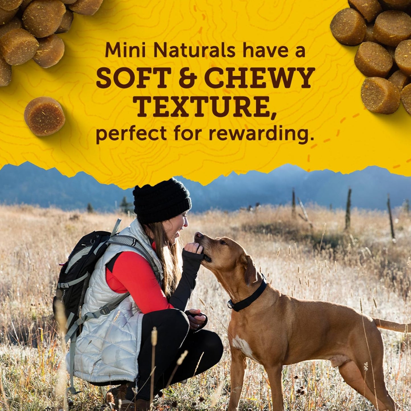 Zuke’S Mini Naturals Soft and Chewy Dog Treats for Training Pouch, Natural Treat Bites with Beef Recipe - 6 Oz. Bag