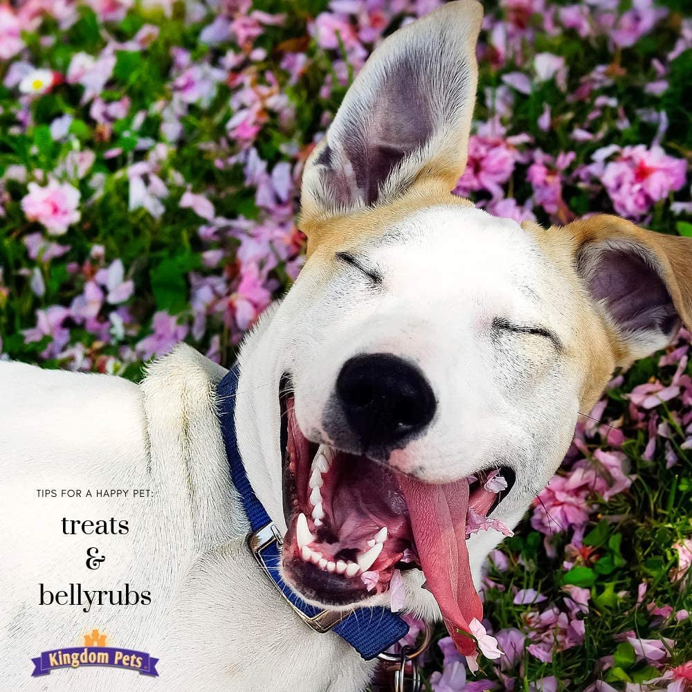 Duck Jerky Dog Treats with Only 3 Ingredients and No Fillers, 2.5 Pound Bag