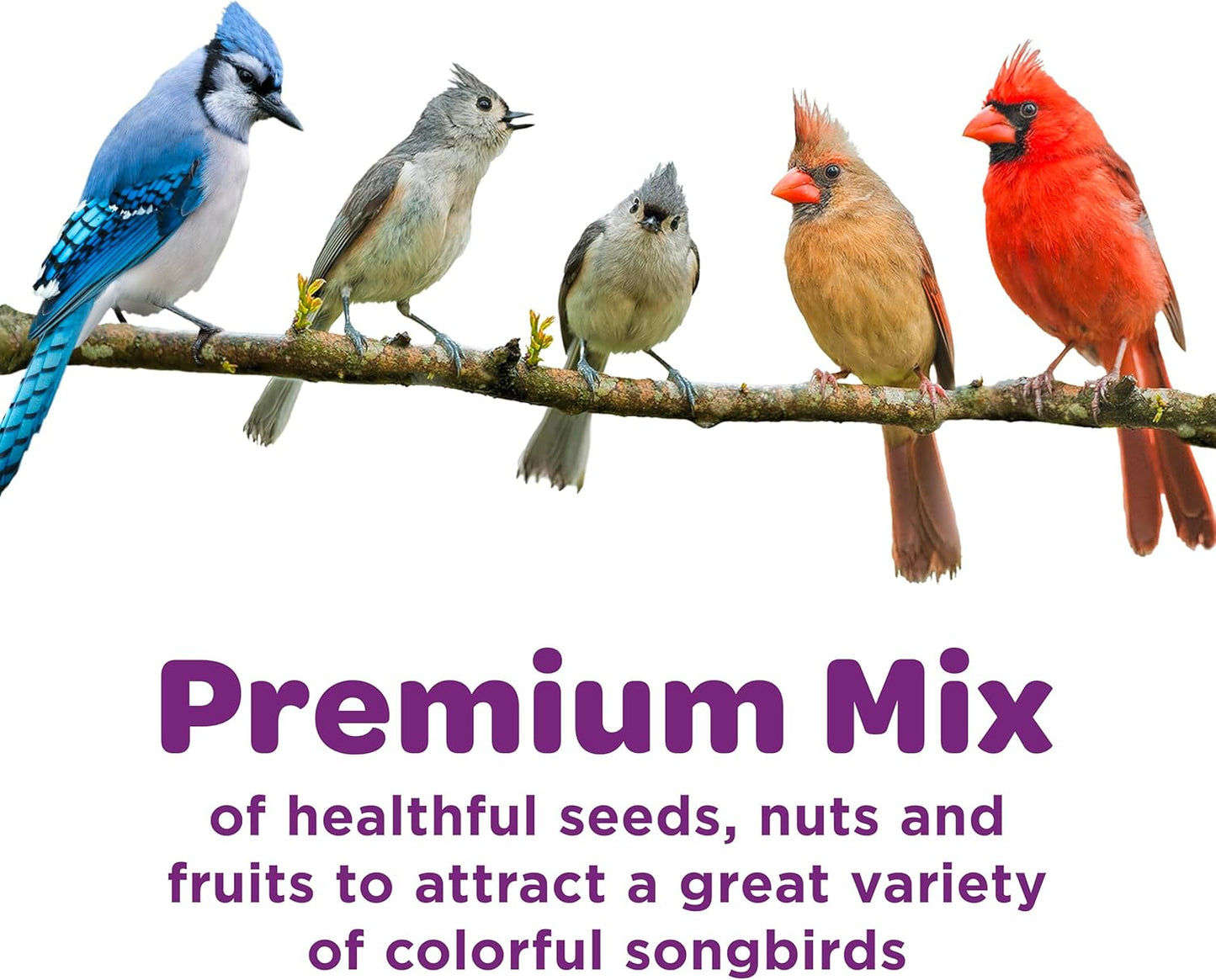 Nut & Fruit Wild Bird Seed, 5 Lb