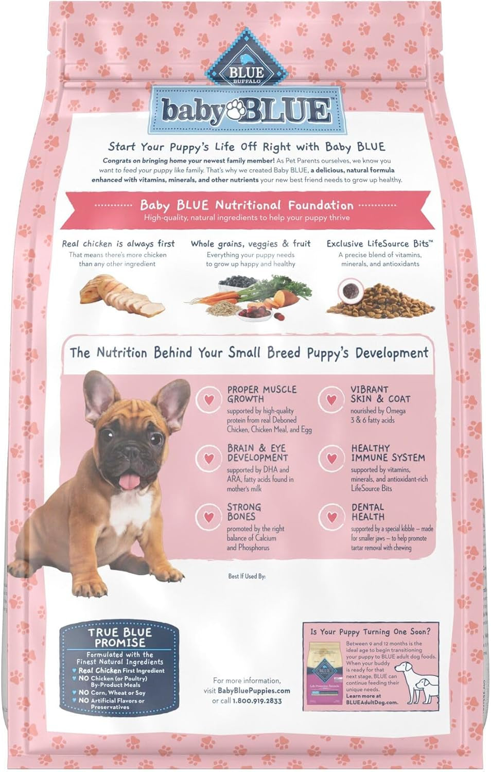 Baby BLUE Natural Small Breed Puppy Dry Dog Food, Healthy Growth Formula with DHA, Chicken and Oatmeal Recipe, 4-Lb. Bag