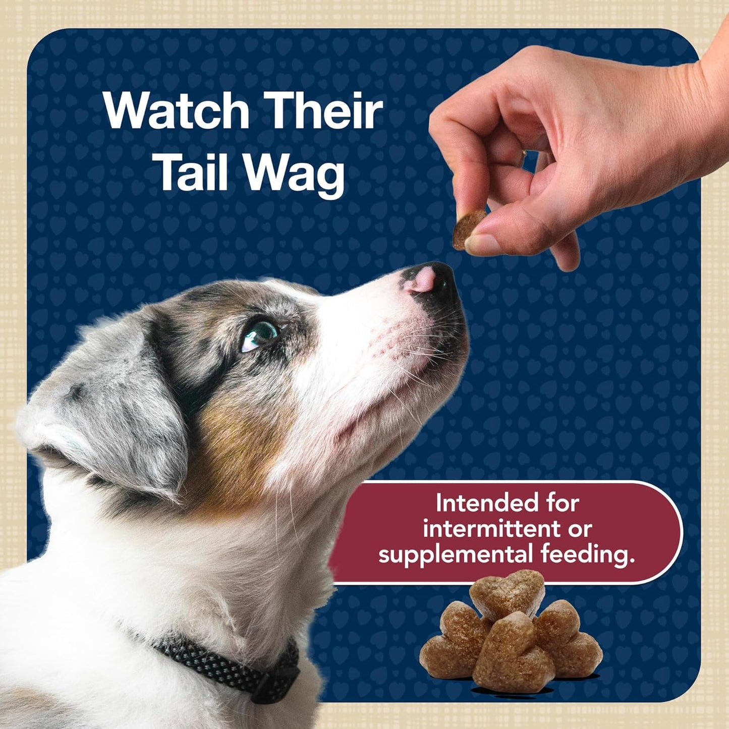 Bits Soft Dog Treats for Training, Made with Natural Ingredients & Enhanced with DHA, Beef Recipe, 11-Oz Bag