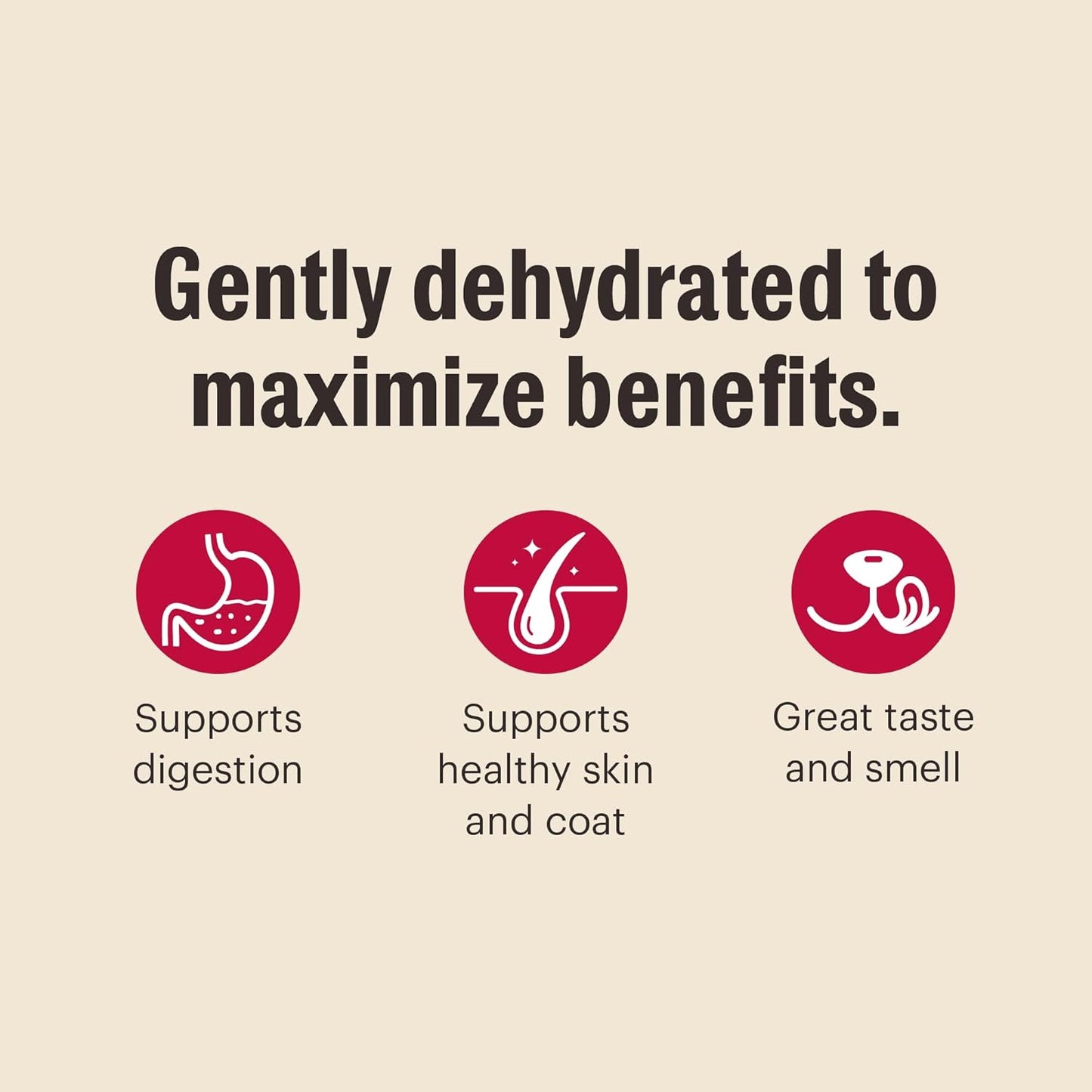 Wholemade™ Whole Grain Chicken Dog Food, 10 Lb Box