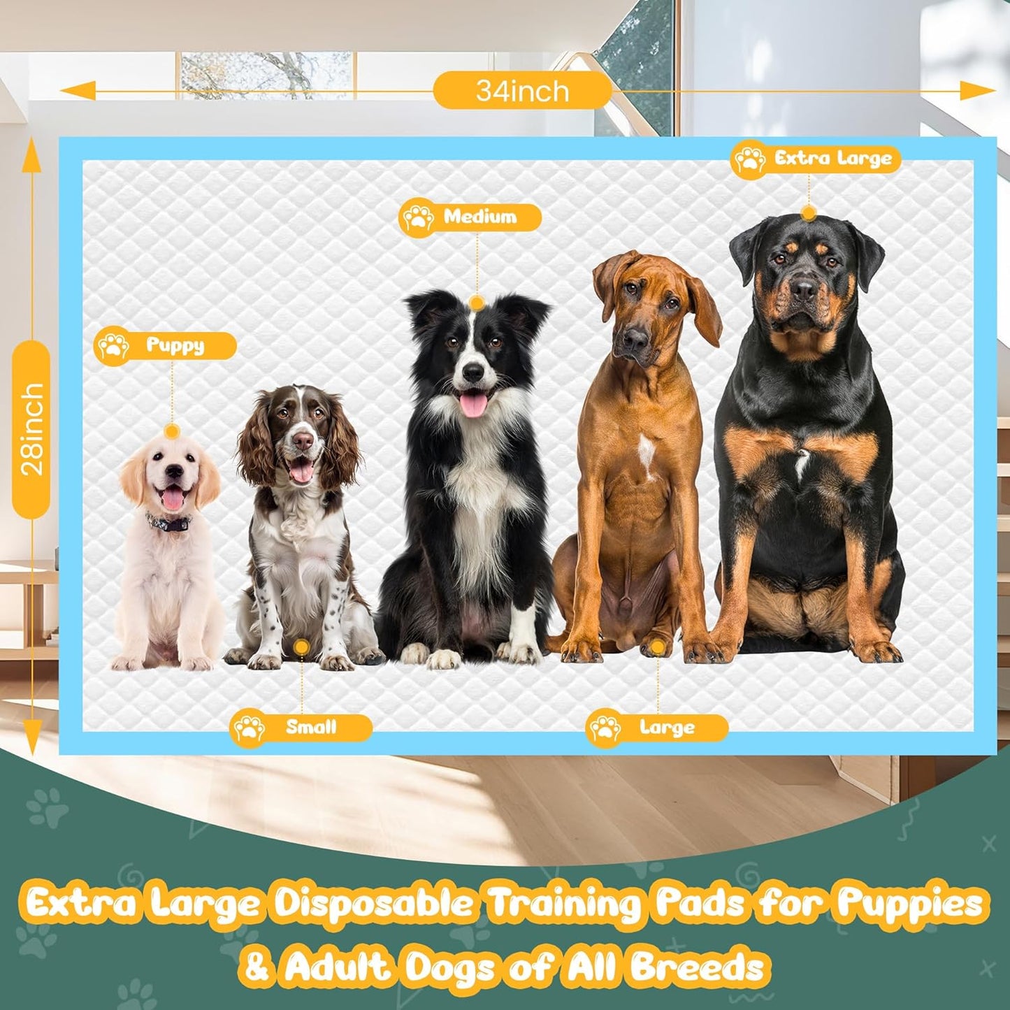 60 Count Extra Large Dog Pee Pads 28" X 34", Super Absorbent X-Large Puppy Pads Disposable Dogs Training Pads, Quick Drying Leak-Proof Dog Potty Pads for Doggies Puppies