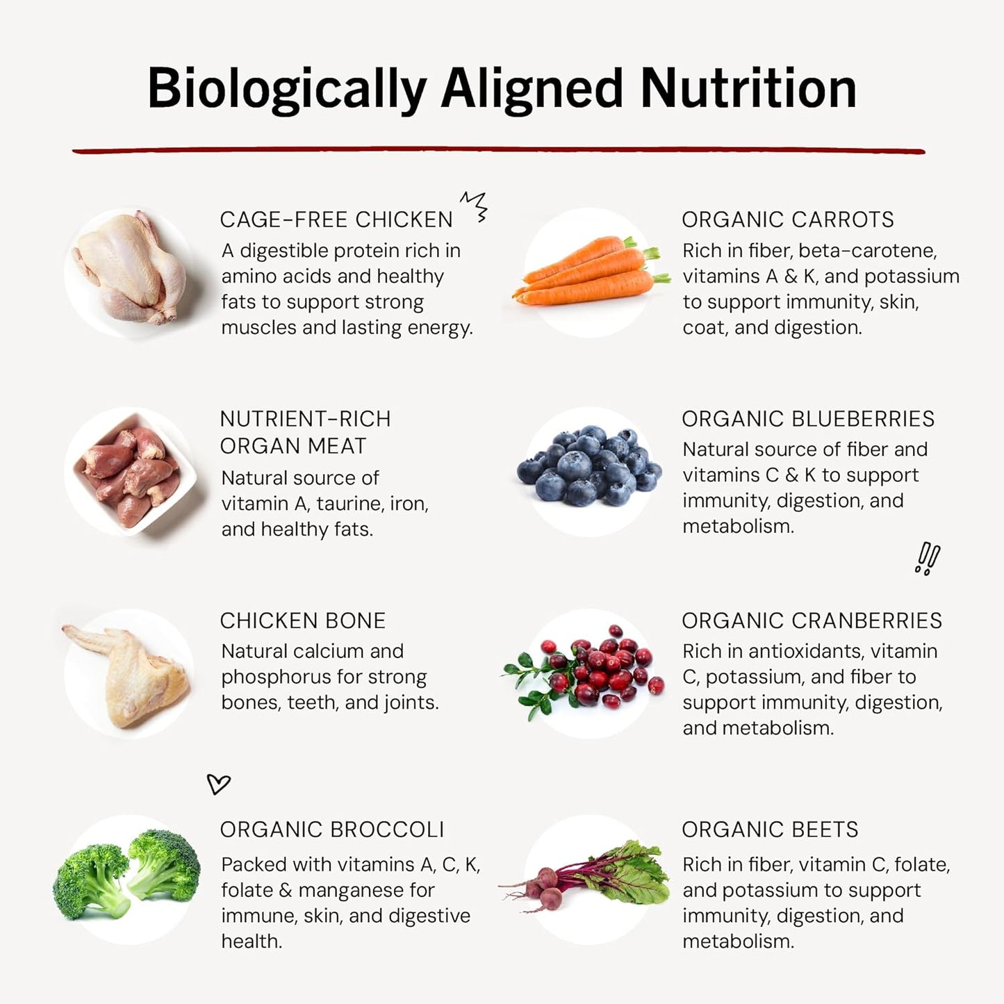Freeze-Dried Raw Dinner Patties - Chicken Recipe - High Protein Grain-Free Puppy & Dog Food - Perfect for Picky Eaters - 25 Oz