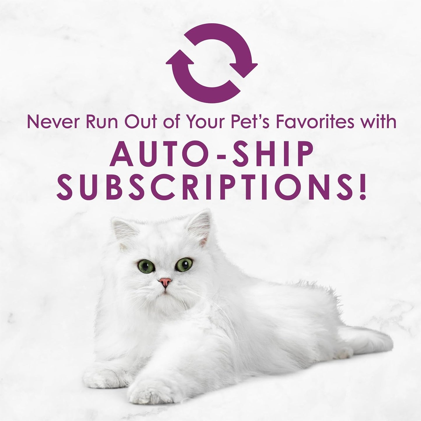 Purina Savory Centers Wet Cat Food Pate Variety Pack with Chicken, Salmon, Beef, and Tuna Pate with Gravy Center - (2 Packs of 12) 3 Oz. Pull-Top Cans