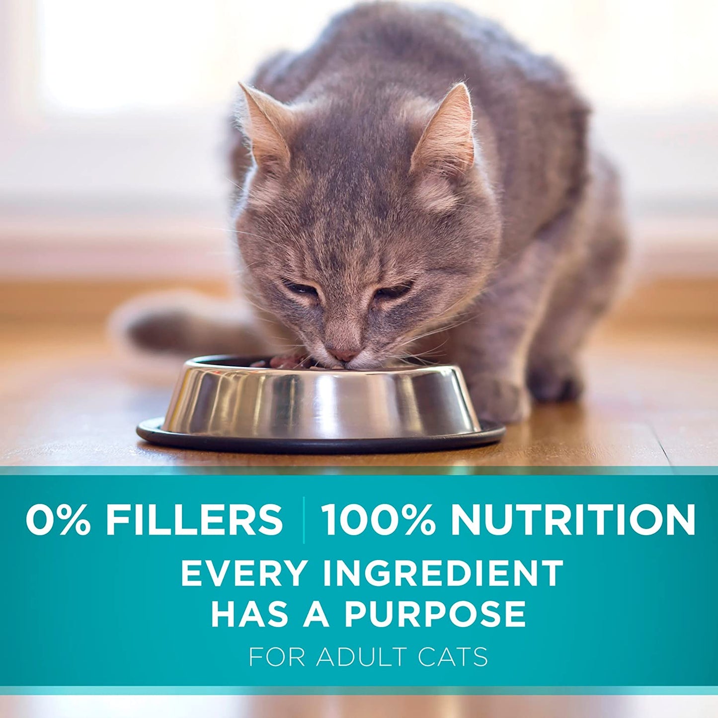 Natural Dry Cat Food, Tender Selects Blend with Real Salmon - 3.5 Lb. Bag