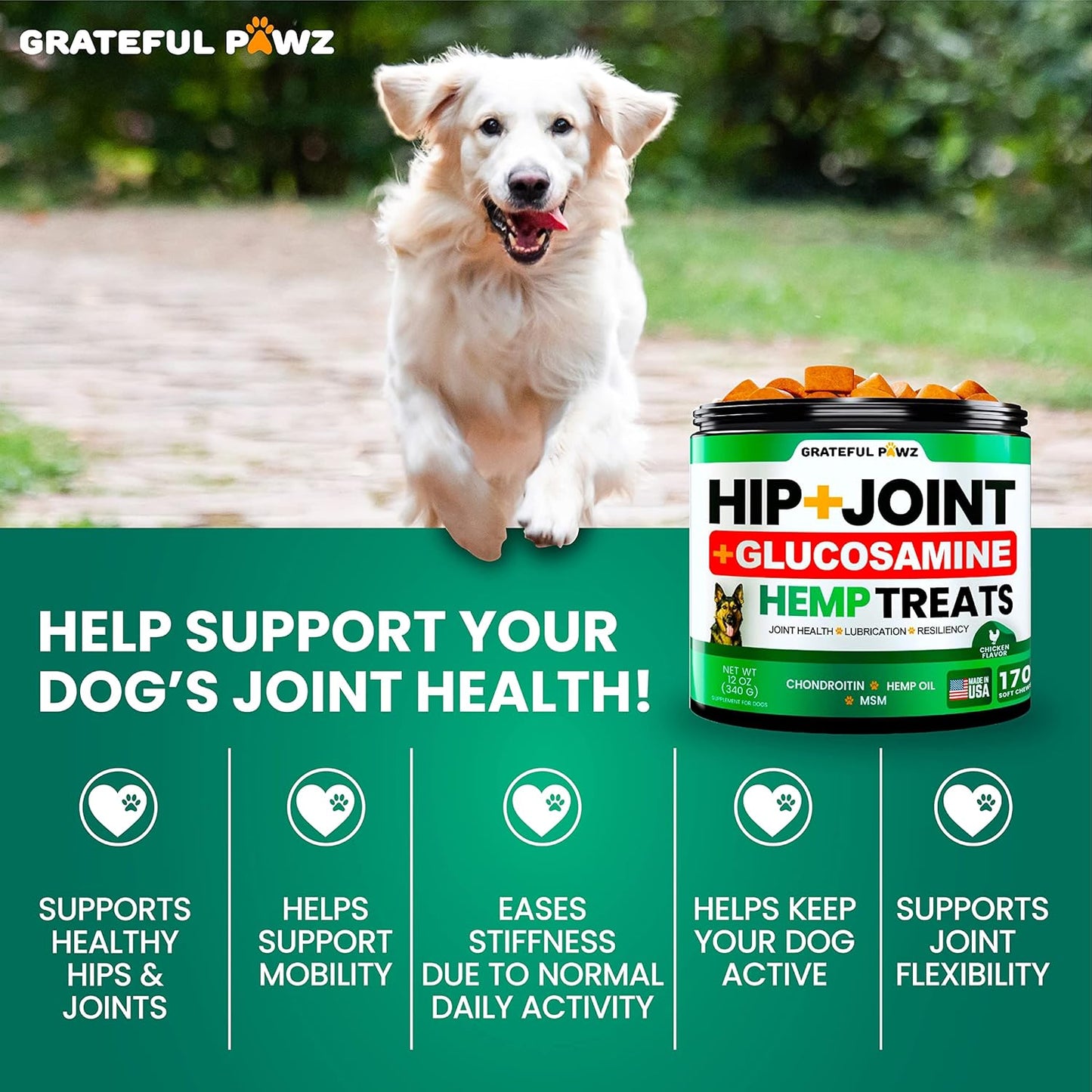 Hemp Hip and Joint Supplement for Dogs - Glucosamine for Dogs - 170 Joint Pain Relief Treats - Chondroitin, MSM, Hemp Oil - Advanced Health Supplement - Mobility Support Chews - Made in USA