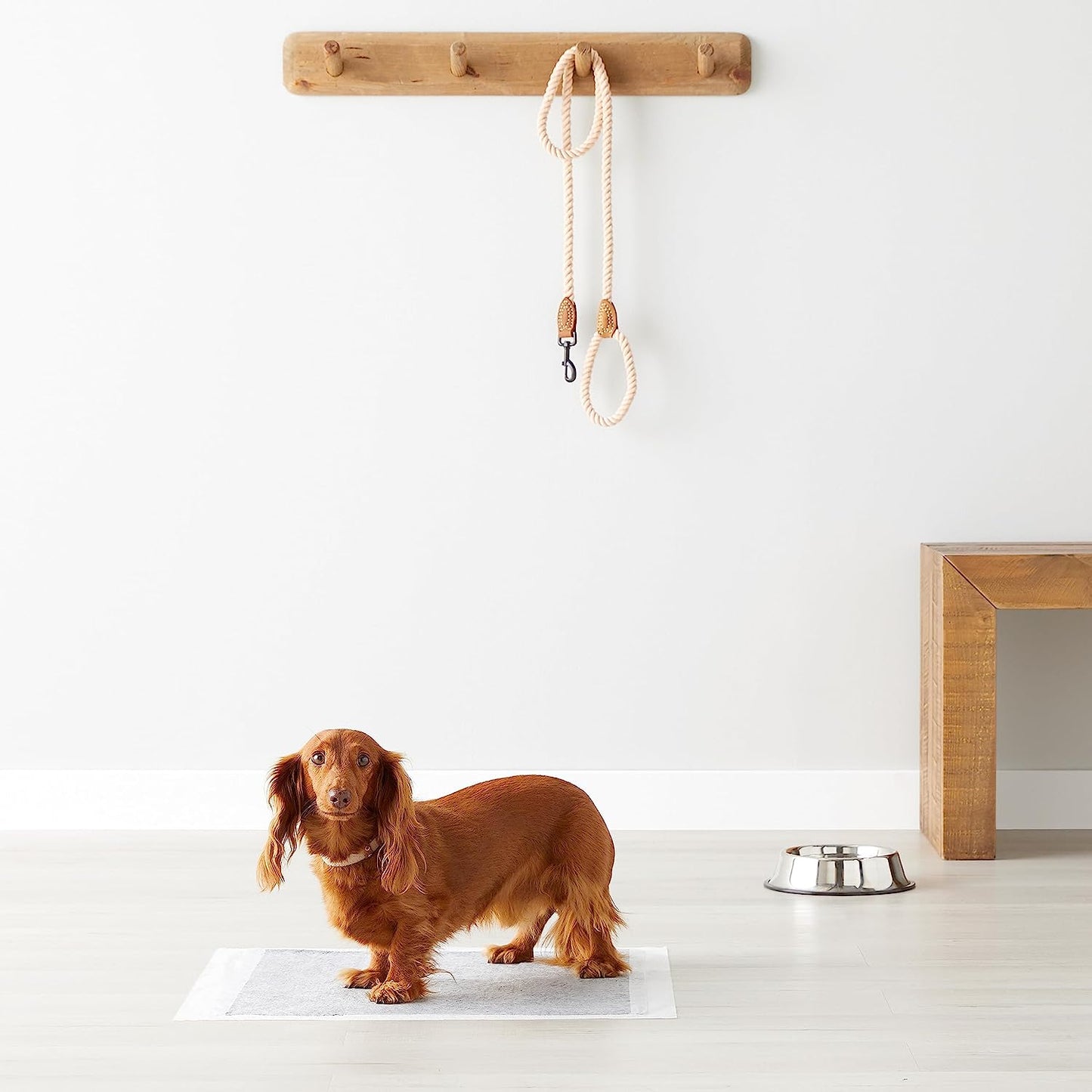 Carbon Odor-Control Dog and Puppy Pee Pads, 5-Layer Leak-Proof Super Absorbent, Quick-Dry Surface, Potty Training, Regular (22X22"), 120 Count, Gray