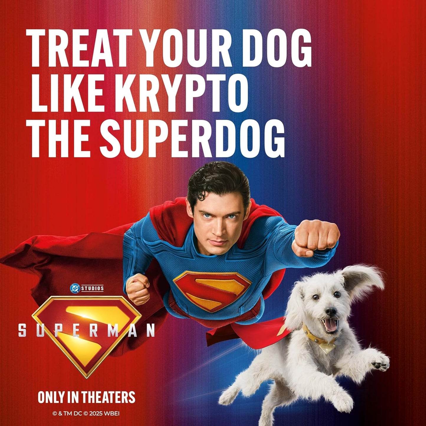 Original Dog Biscuits, Small Dog Treats, Limited-Edition Superman Movie Box, 24 Oz