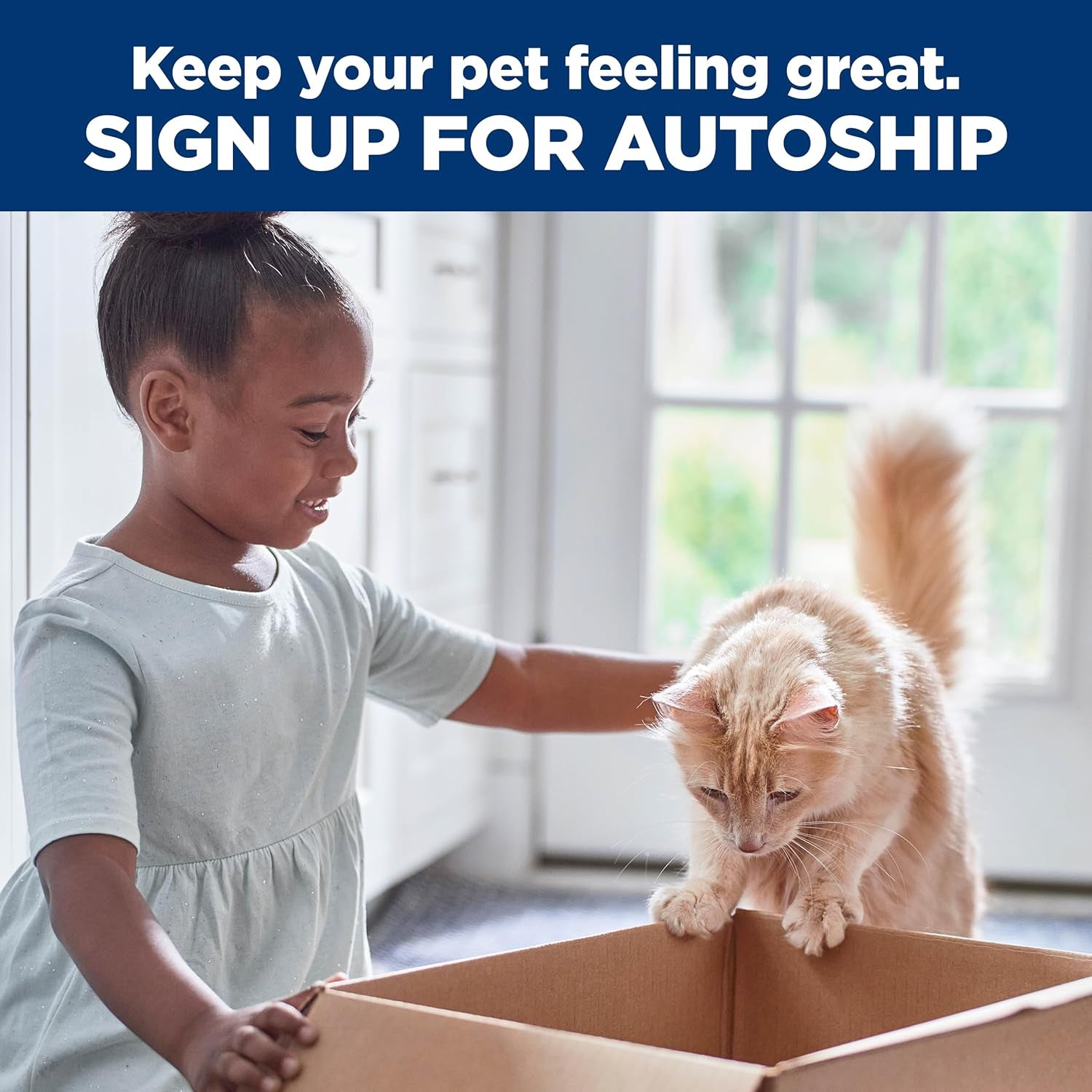 Adult 1-6, Adult 1-6 Premium Nutrition, Dry Cat Food, Salmon & Brown Rice, 6.5 Lb Bag