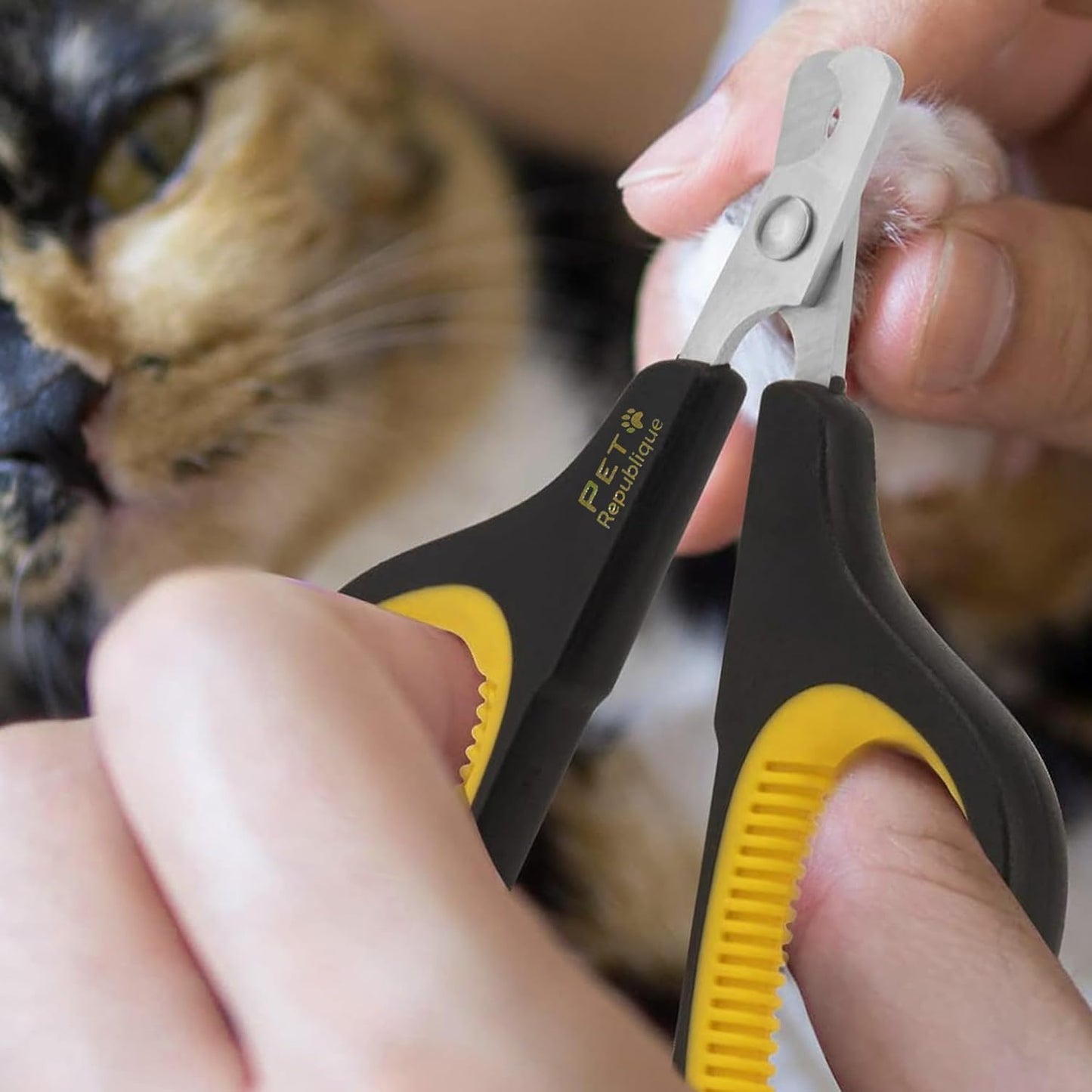 Cat Nail Clippers by – Professional Stainless-Steel Nail Clipper for Cats, Kittens, Hamster, Rabbits, Birds, & Small Breed Animals Claw Trimmer