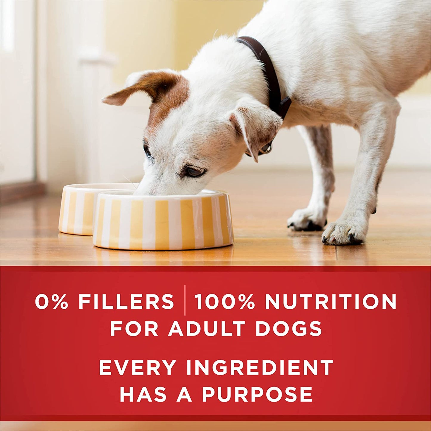 Classic Ground Chicken and Brown Rice, and Beef and Brown Rice Entrees Wet Dog Food Variety Pack - (Pack of 6) 13 Oz. Cans