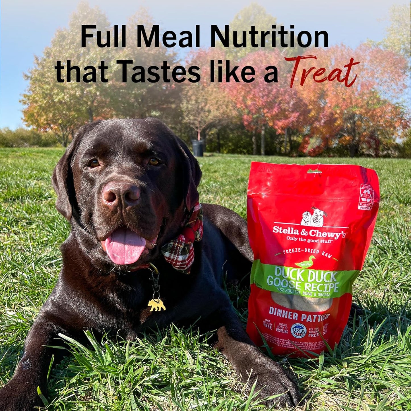 Freeze-Dried Raw Dinner Patties - Duck Duck Goose Recipe - High Protein Grain-Free Puppy & Dog Food - Perfect for Picky Eaters - 25 Oz
