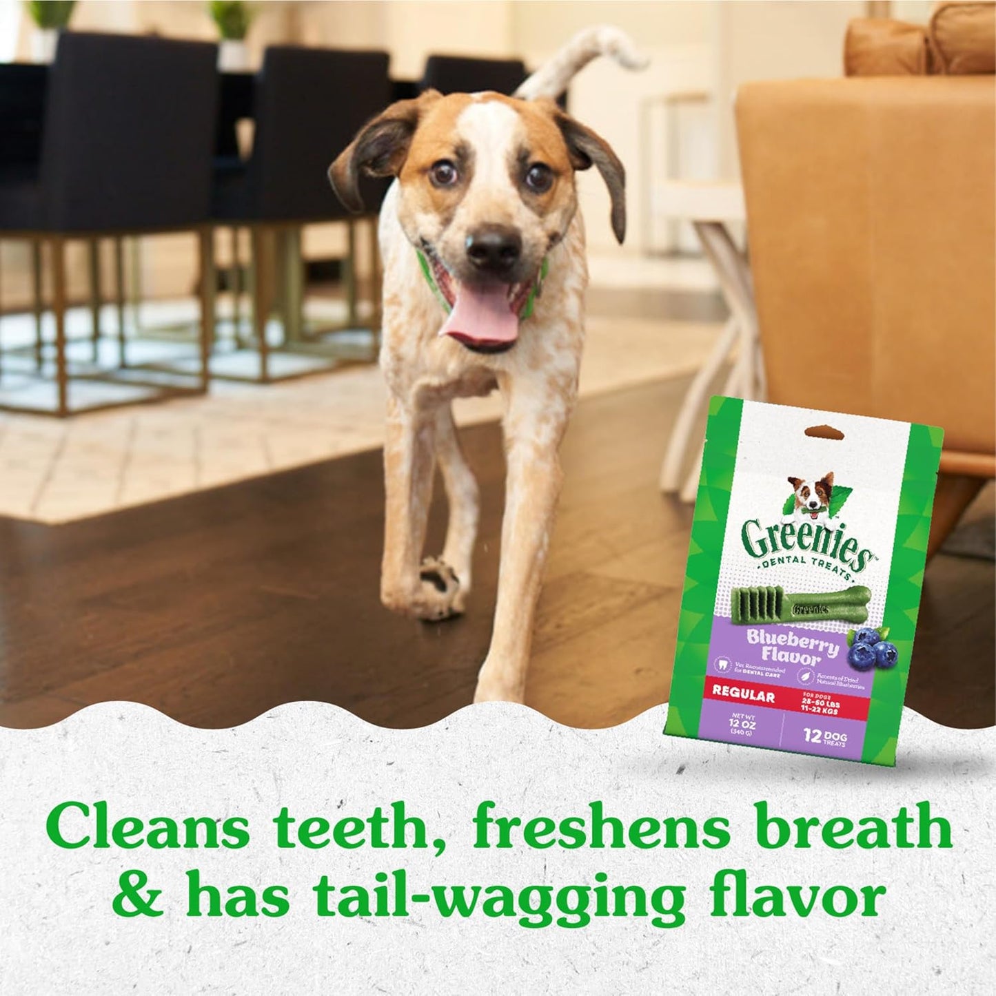 Regular Dental Dog Treats, Blueberry Flavor, 12 Oz. Pack (12 Treats)