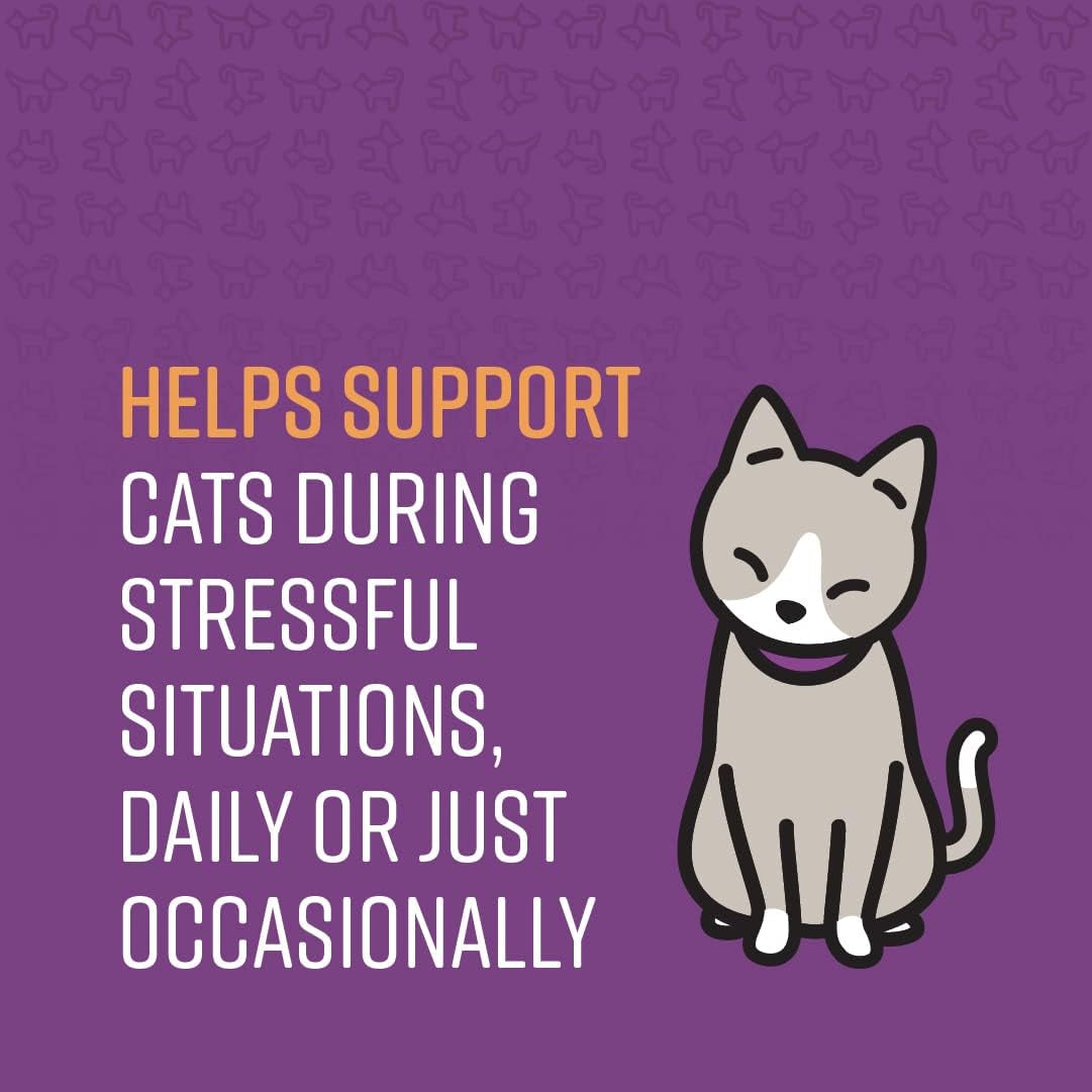Calming Chews for Cats, Calming Aid Helps to Manage Stress & Anxiety, with Pheromones That May Help Curb Destructive Behavior & Separation Anxiety, Calming Health Supplement for Cats, 4 Oz.