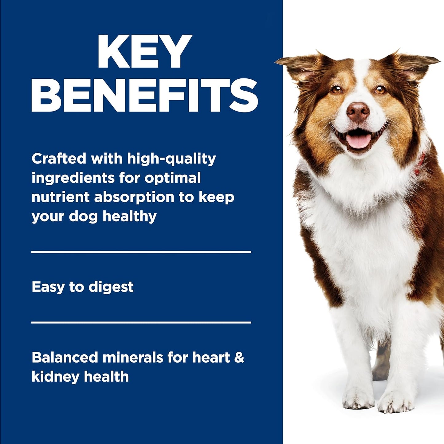 Adult 7+, Senior Adult 7+ Premium Nutrition, Wet Dog Food, Beef & Barley Loaf, 13 Oz Can, Case of 12