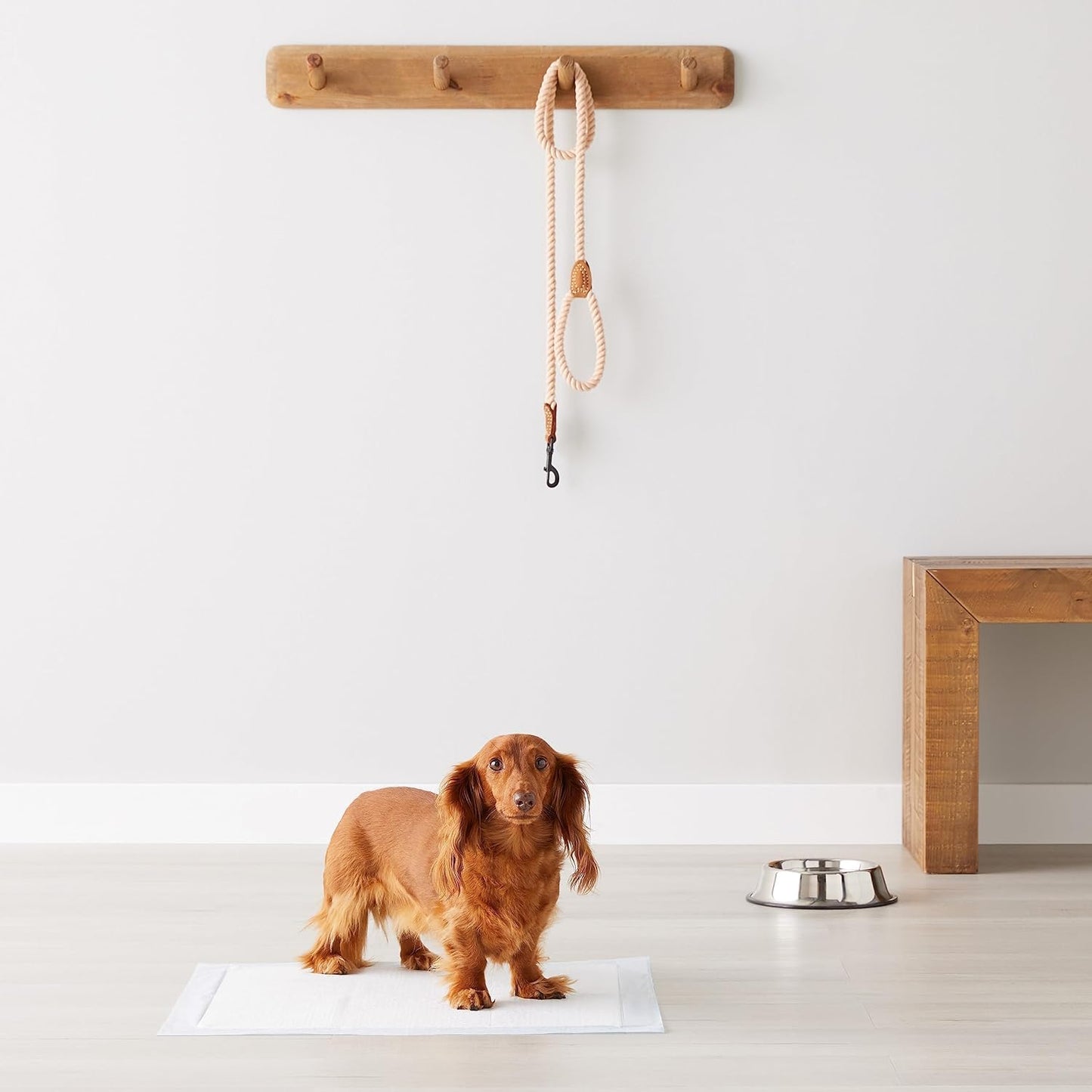 Scented Dog and Puppy Pee Pads, 5-Layer Leak-Proof Super Absorbent, Quick-Dry Surface, Potty Training, Regular (22X22"), 100 Count, Blue & White