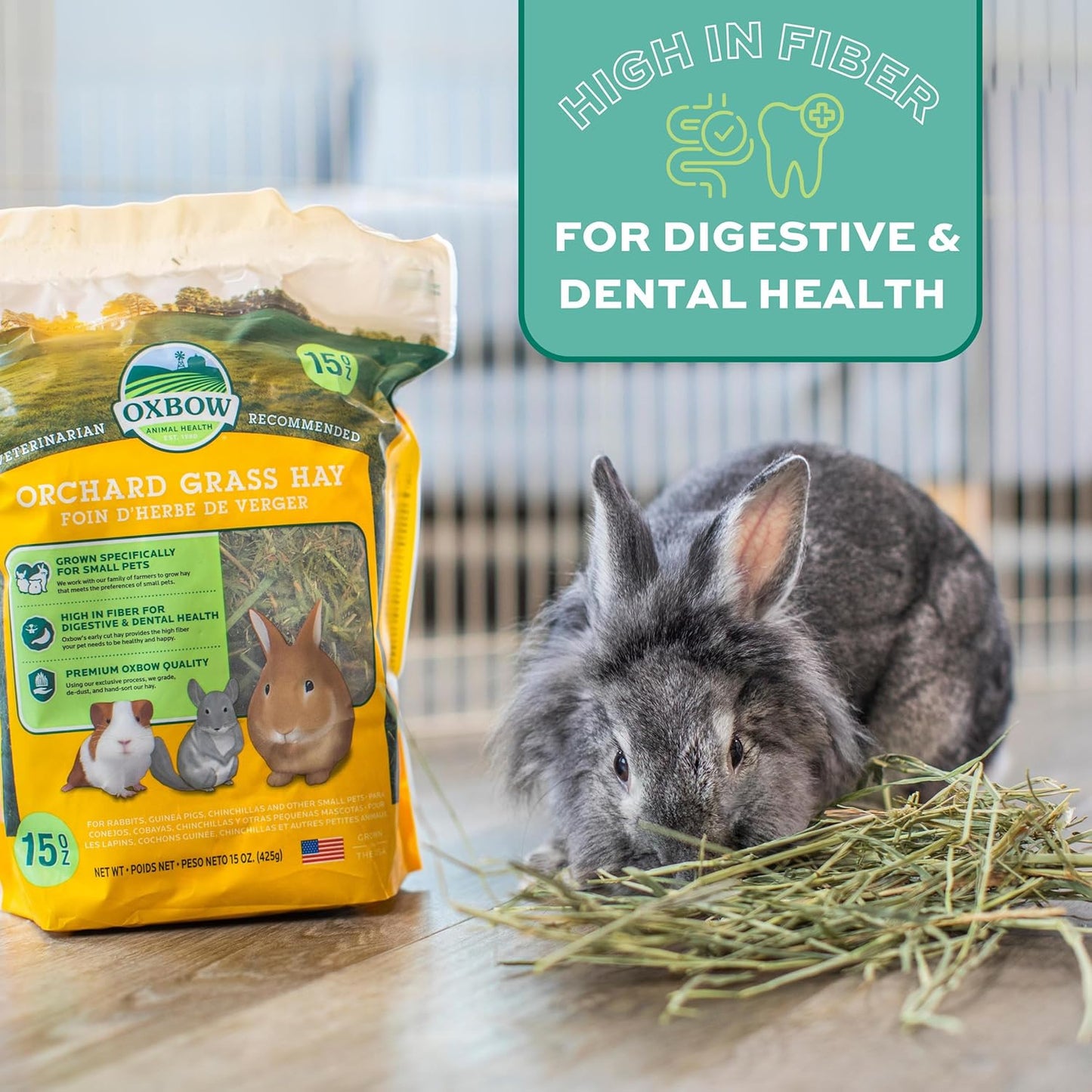 Orchard Grass Hay for Small Pets – All-Natural Long Strand Fiber Hay for Rabbits, Guinea Pigs, Chinchillas, and Hamsters – Supports Digestive Health and Enrichment – 40 Oz Bag