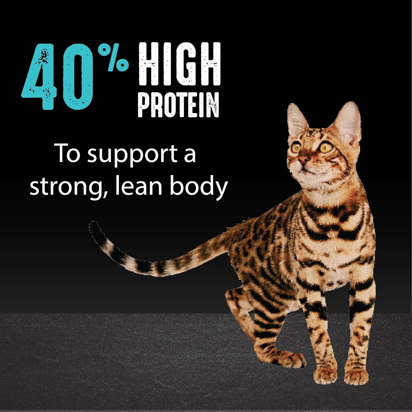 Grain Free Adult High Protein Natural Dry Cat Food with Protein from Salmon & Ocean Fish, 10 Lb. Bag
