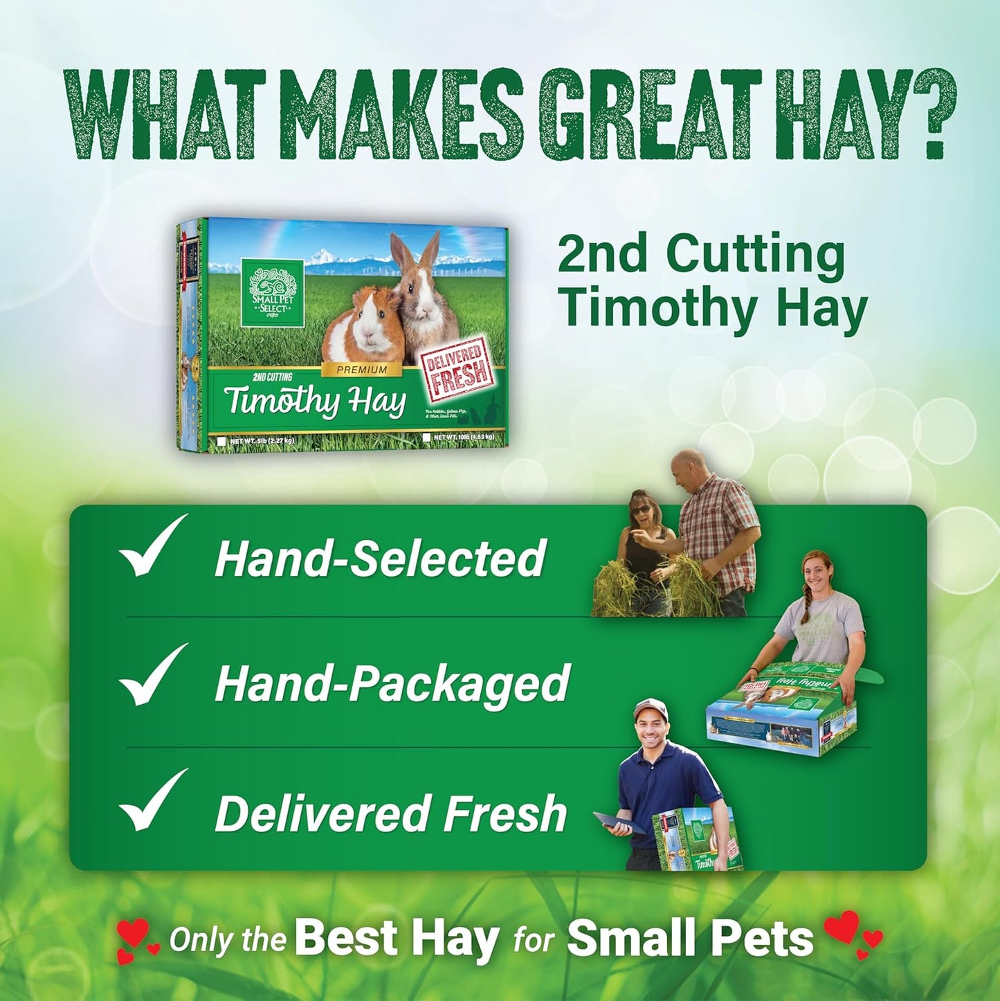 2Nd Cutting Perfect Blend Timothy Hay Pet Food for Rabbits, Guinea Pigs, Chinchillas and Other Small Animals, Premium Natural Hay Grown in the US, 12 LB