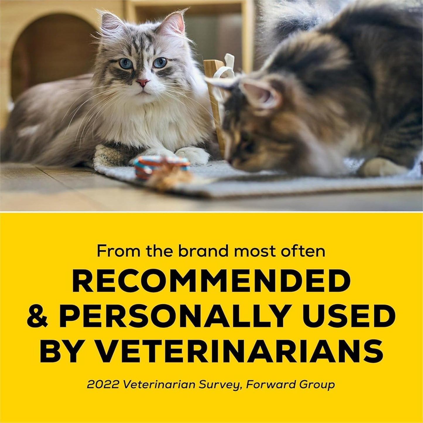 Purina Lightweight 24/7 Performance Odor Control, Multi-Cat, Clumping, 99.9 Percent Dust Free Cat Litter - 17 Lb. Box