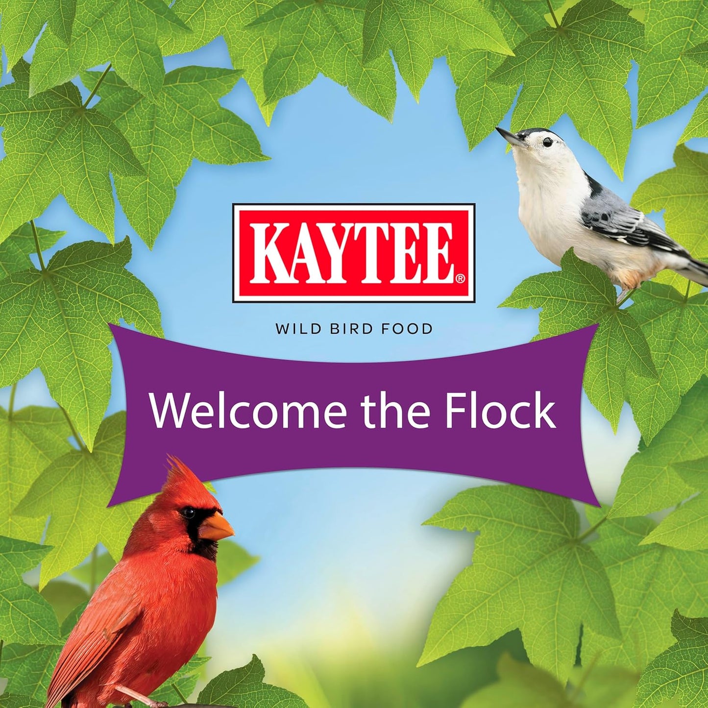 Nut & Fruit Wild Bird Seed, 5 Lb