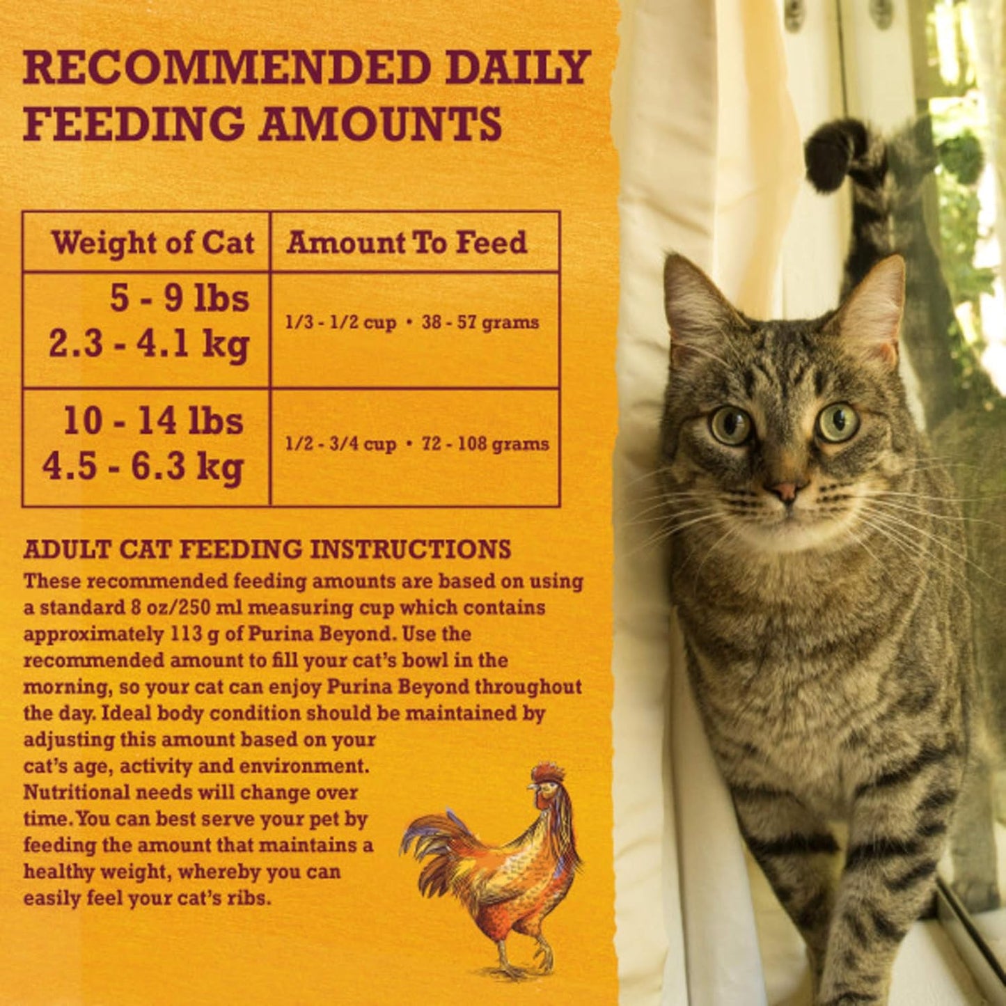 Grain Free White Meat Chicken and Egg Recipe Natural Cat Food High Protein Cat Food Dry Formula - 16 Lb. Bag