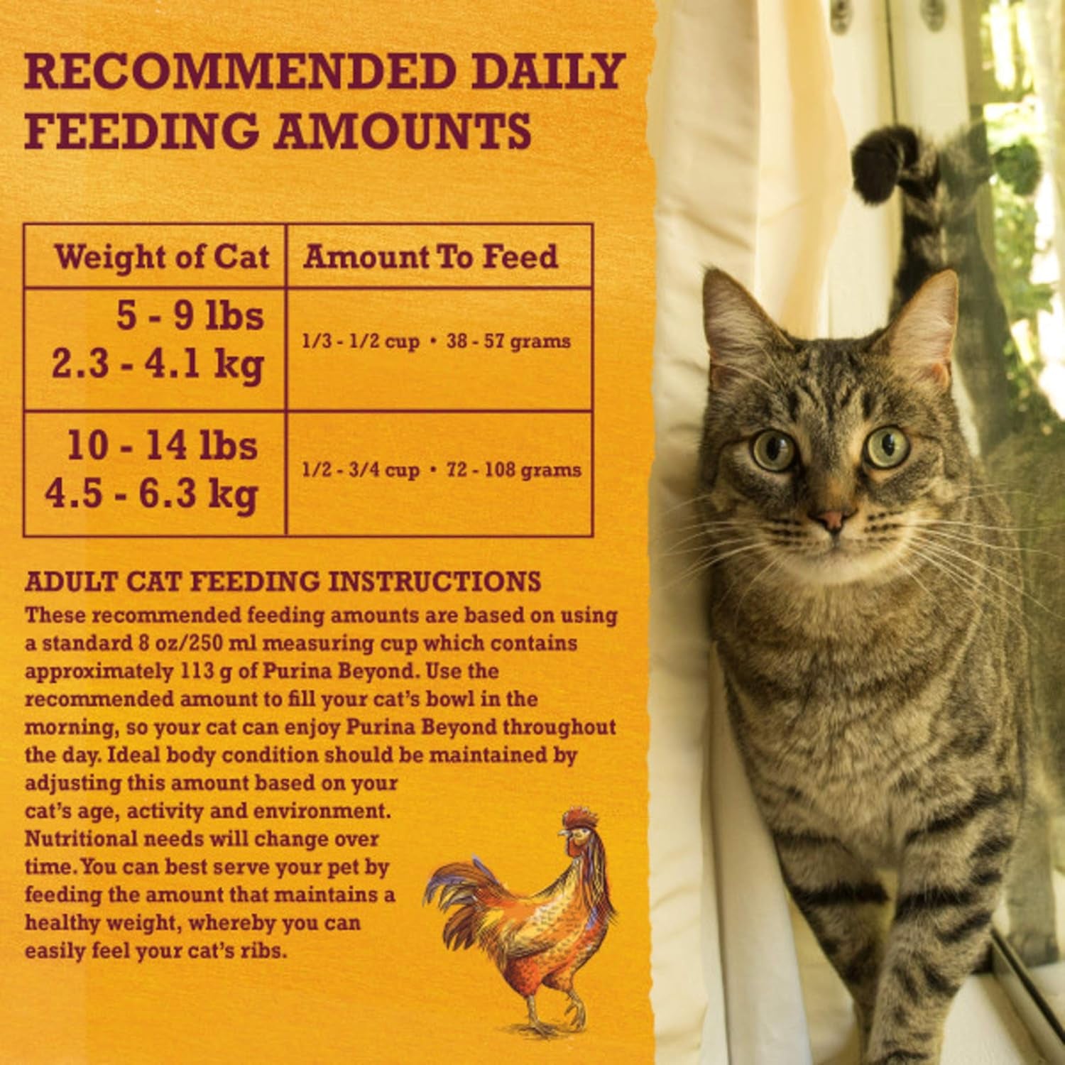 Grain Free White Meat Chicken and Egg Recipe Natural Cat Food High Protein Cat Food Dry Formula - 16 Lb. Bag
