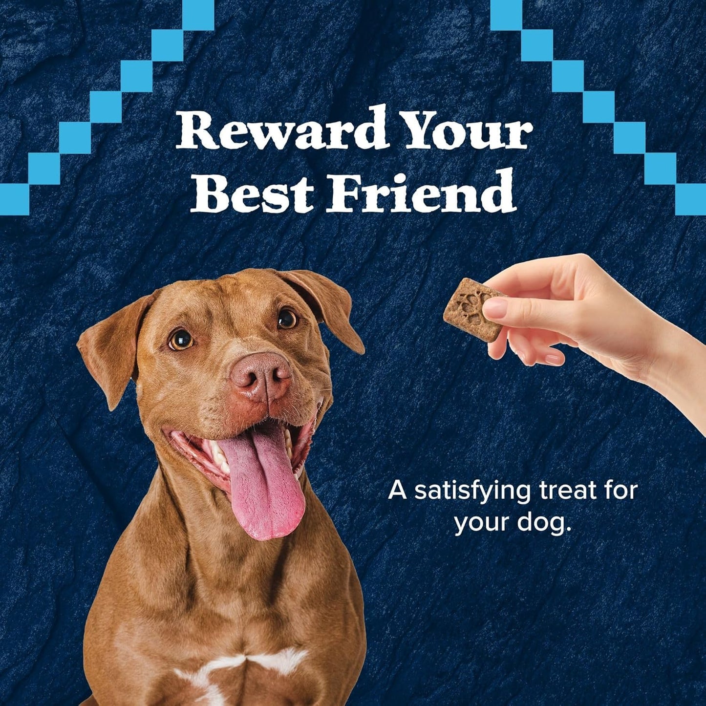 Wilderness Trail Treats Crunchy Dog Biscuits, Grain-Free and High-Protein Dog Treats Made with Natural Ingredients, Salmon Recipe 24-Oz Bag