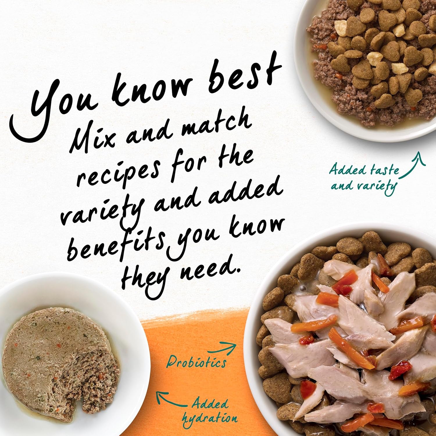 Grain Free White Meat Chicken and Egg Recipe Natural Cat Food High Protein Cat Food Dry Formula - 16 Lb. Bag