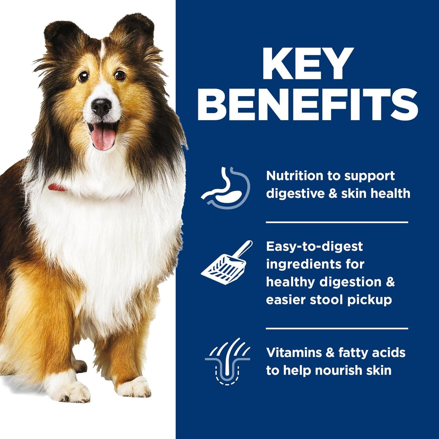 Adult 1-6 Sensitive Stomach & Skin Wet Dog Food Variety Pack: Chicken & Vegetable; Salmon & Vegetable Loaf, 12.8 Oz. Cans, 12-Pack