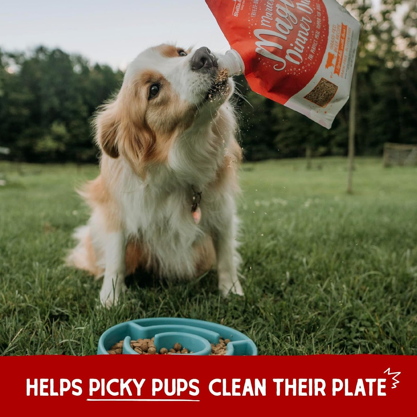 Freeze-Dried Raw Marie’S Magical Dinner Dust - - Premium Beef Dog Food Topper with Organic Fruits & Vegetables - Perfect for Picky Eaters - 7Oz