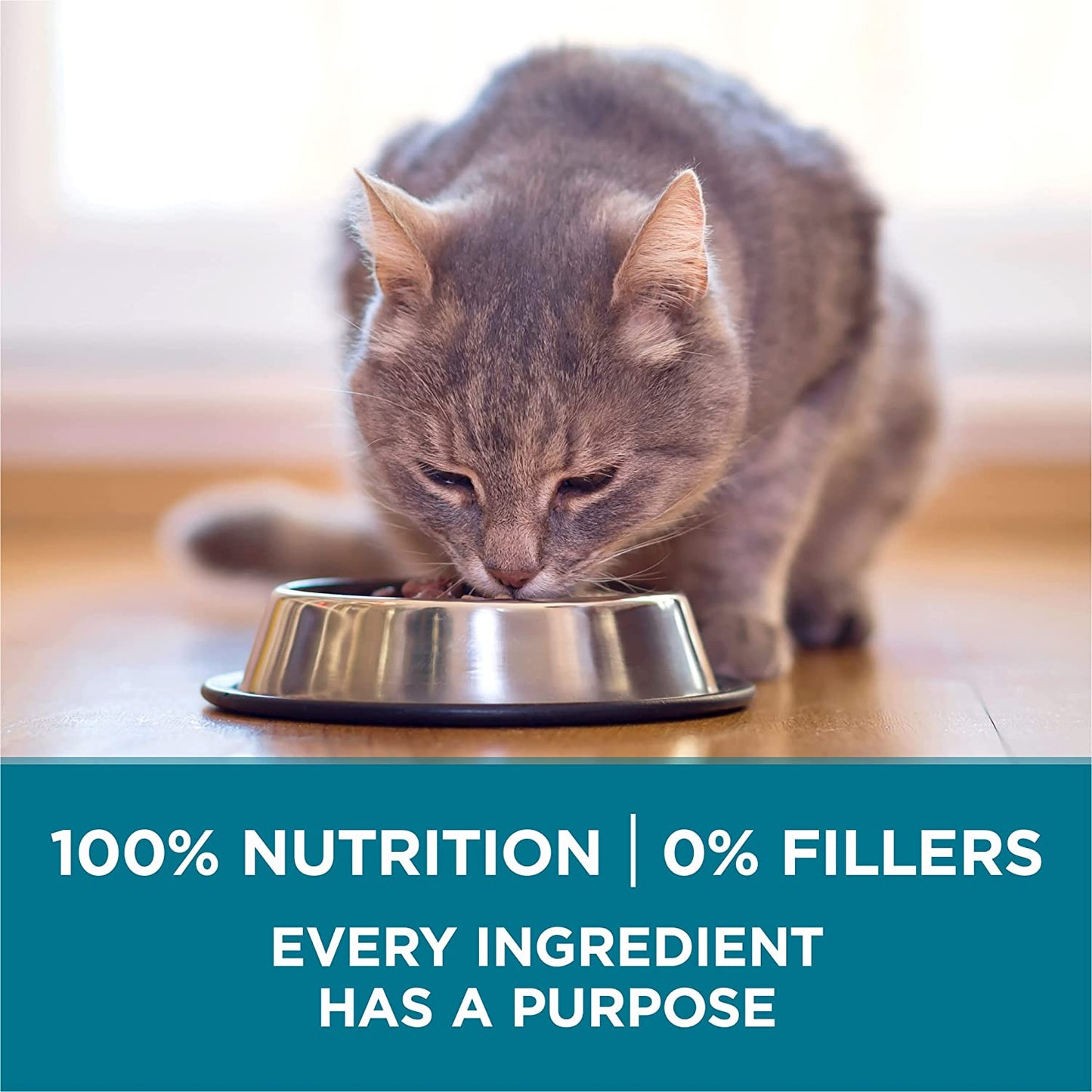 Natural Dry Cat Food, Tender Selects Blend with Real Salmon - 3.5 Lb. Bag
